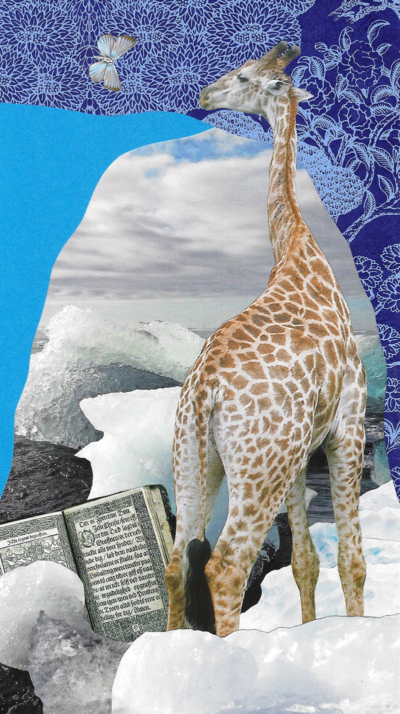 Surrealistisk collage med en giraf på isblokke, et åbent gammelt bog i forgrunden og et blå sommerfuglmodul på mønstret baggrund.