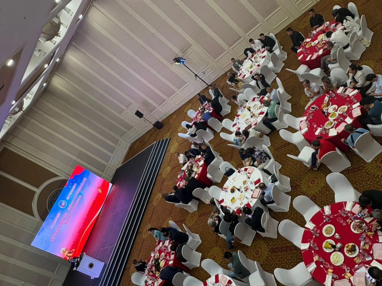 WhatsApp Image 2026-03-17 at 17.34.09.jpeg