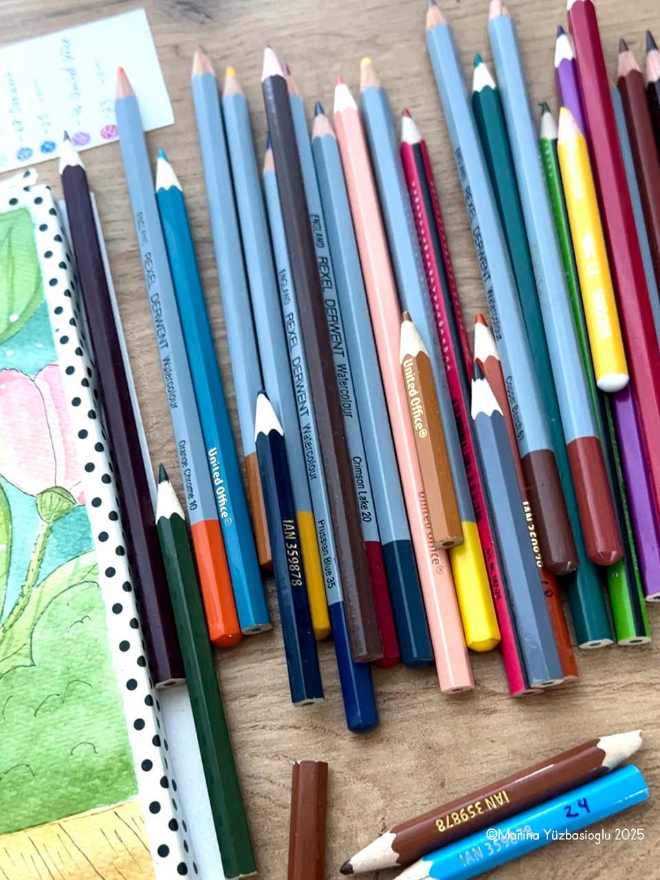 Colored-Pencils.jpg