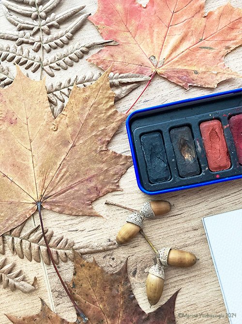 dry-maple-leaves.jpg