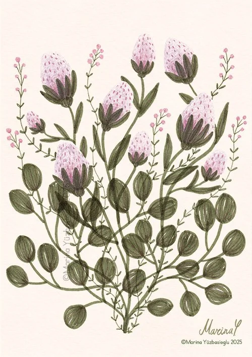 Fluffy-violet-flower-illustration-Light-Backround.jpg