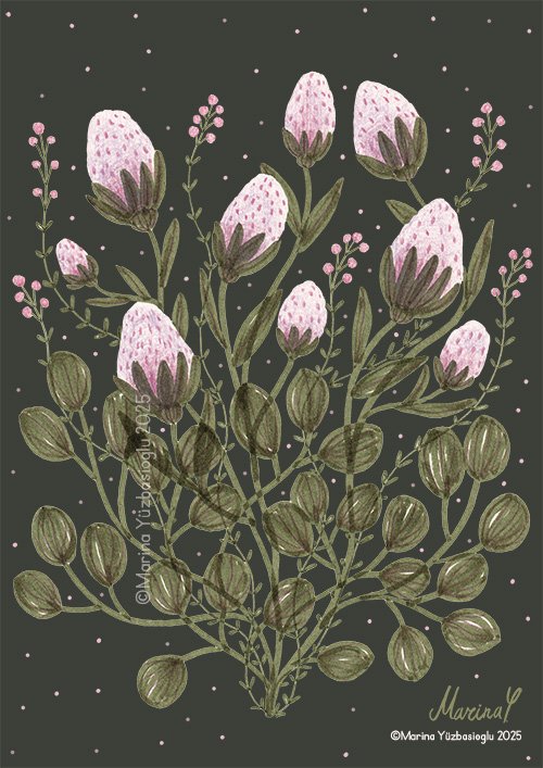Fluffy-violet-flower-Dark-Backround-illustrator-Marina-Yuzbasioglu.jpg