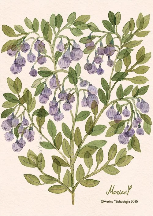 floral-illustration-by-Marina-Yuzbasiolgu.jpg