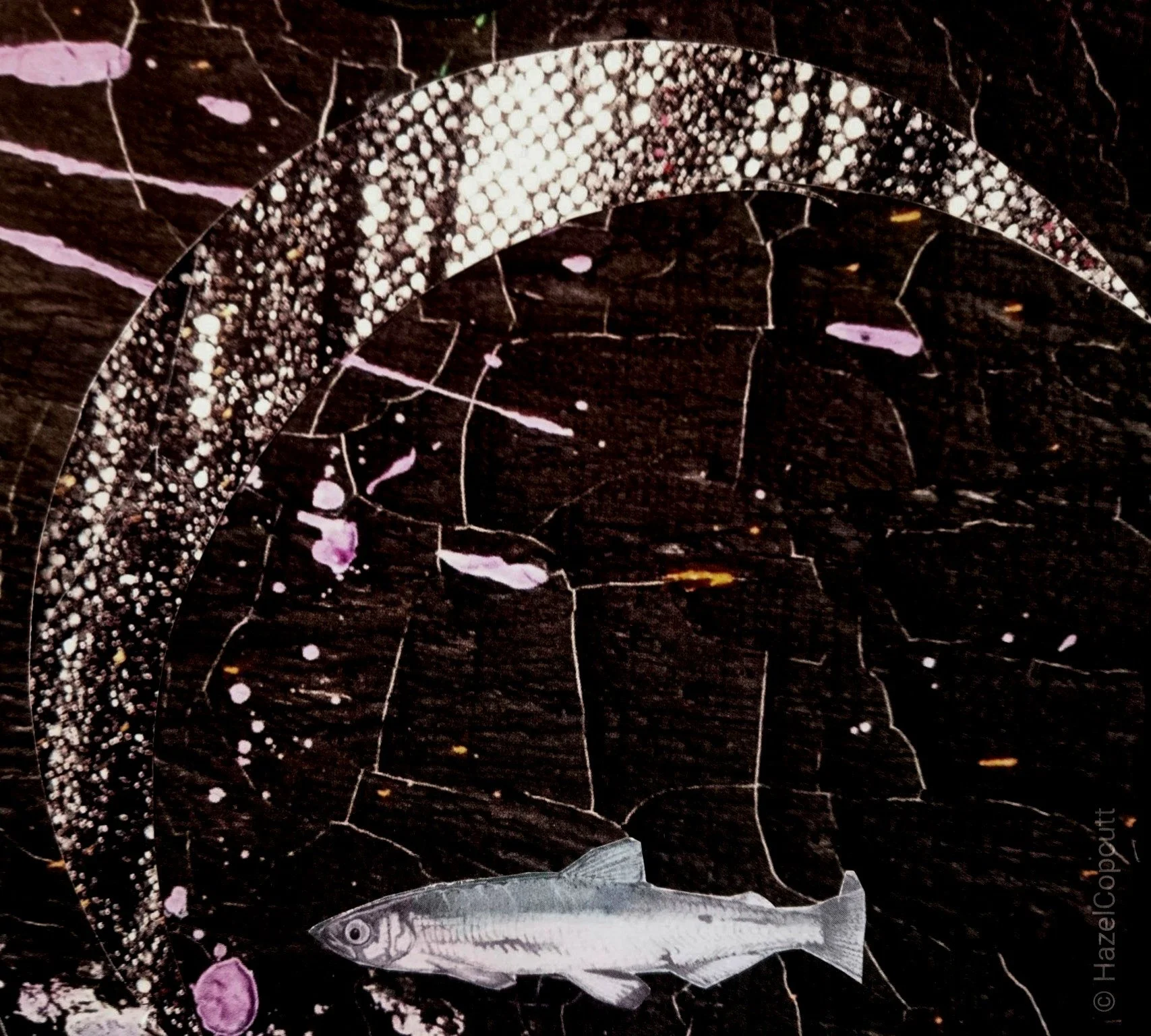 Fish Under the Moon | Abstracted