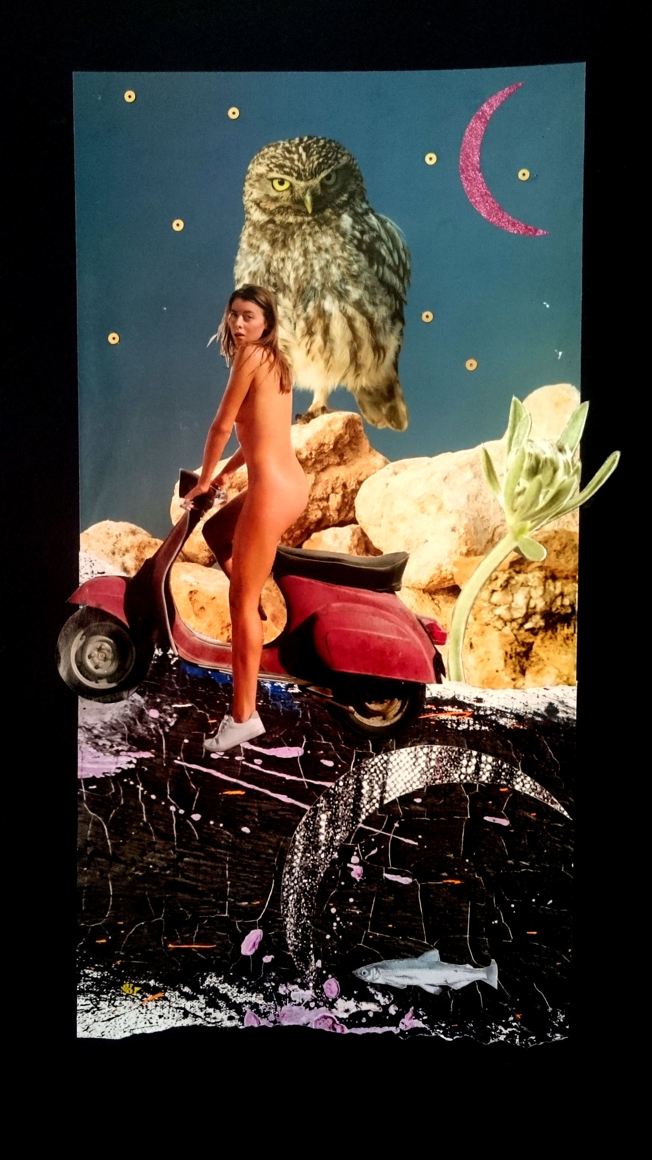Riding Free | Analogue