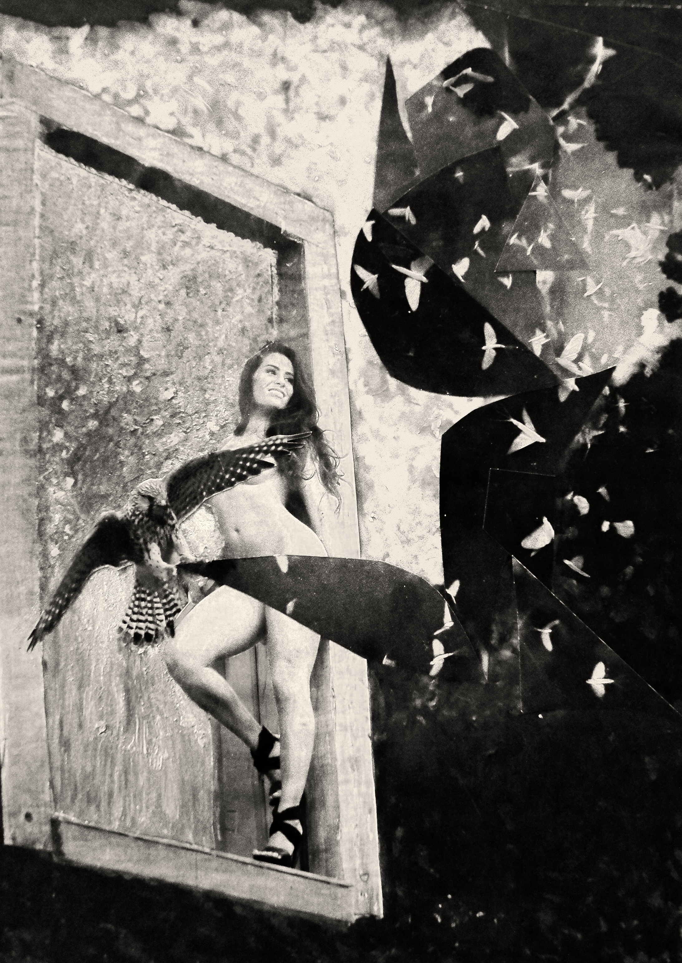 In Company of the Night | B+W