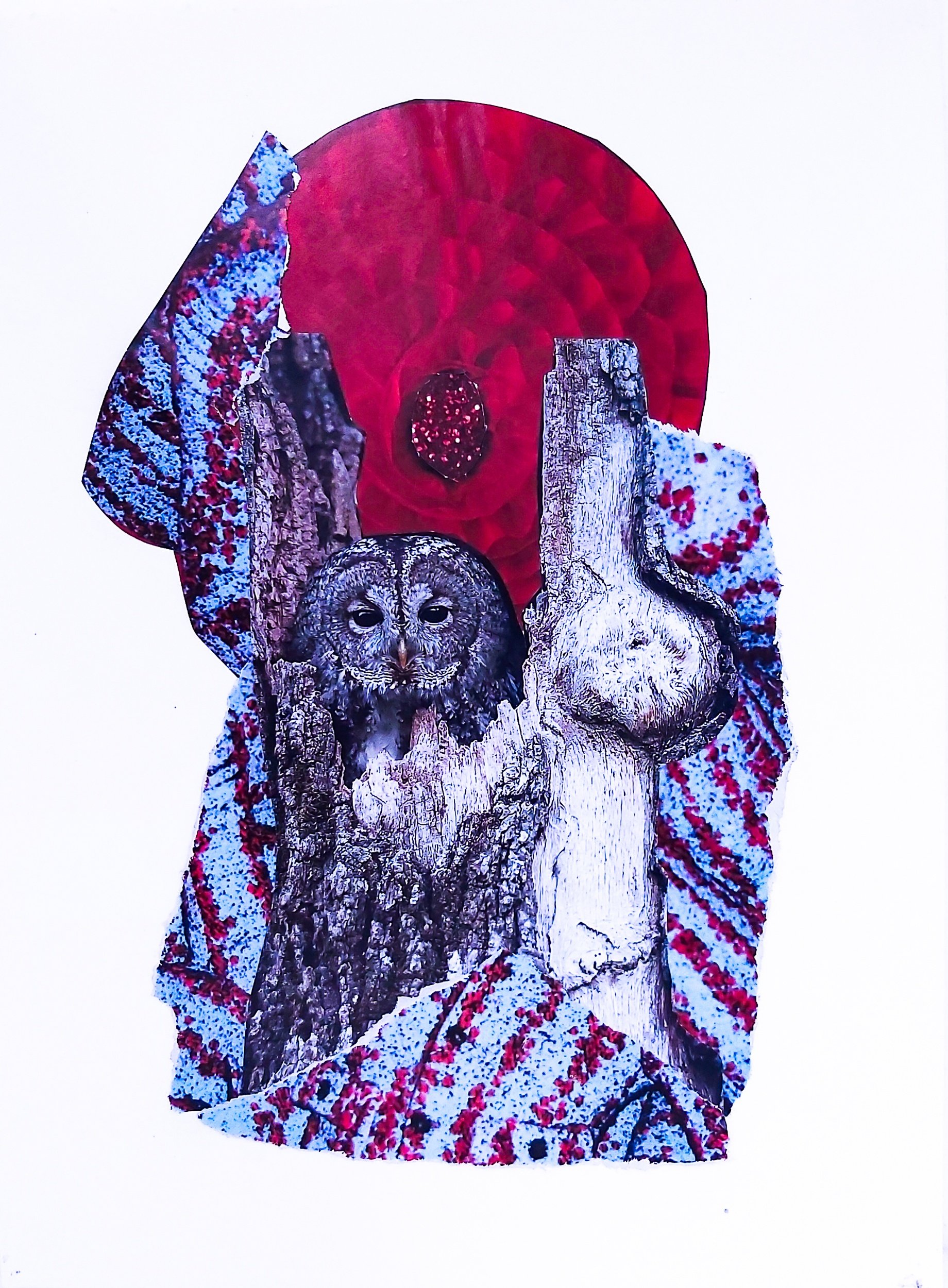processed_Ember of the Watchful Owl (5).jpg