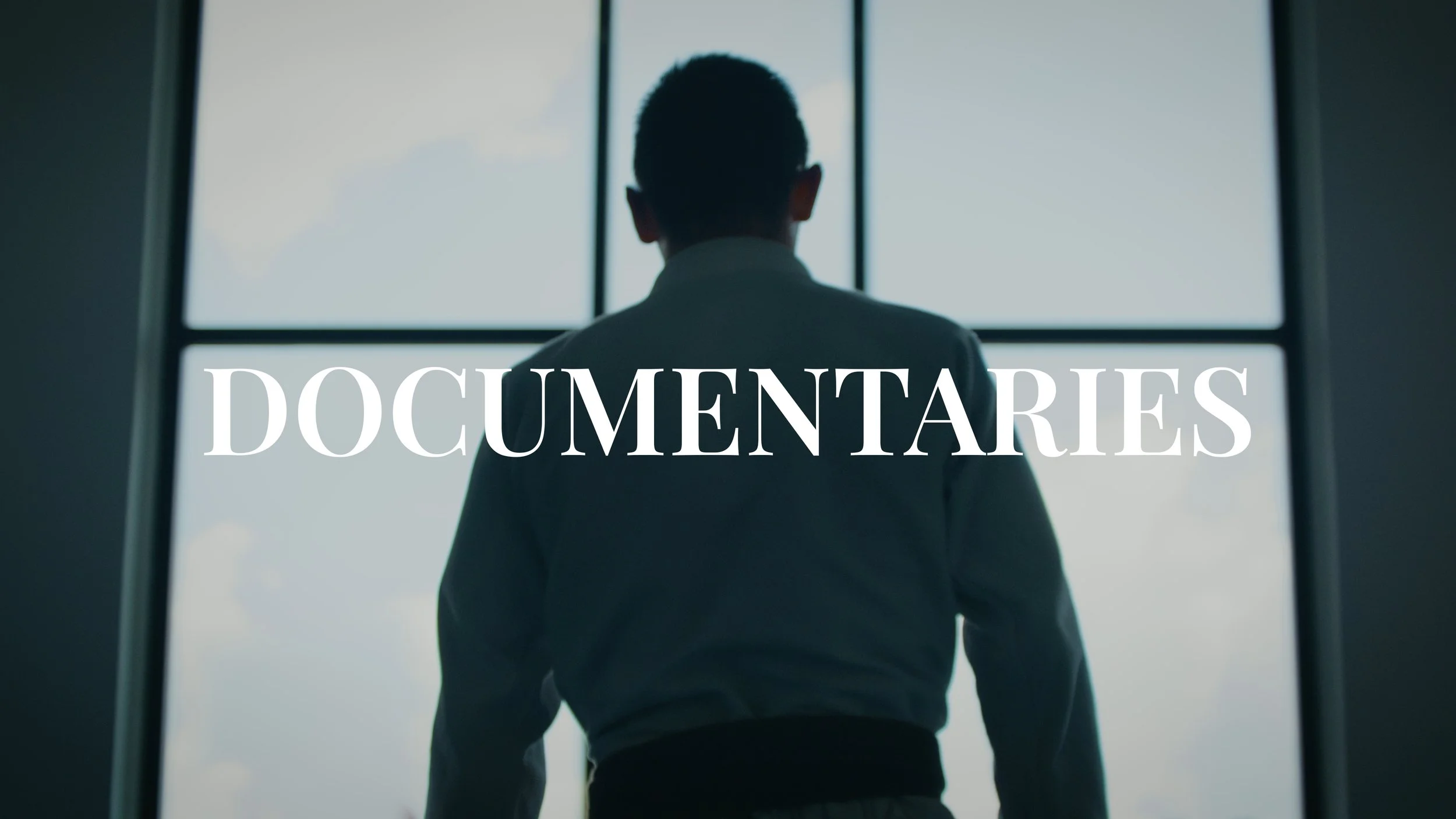 Silhouette of a man in a suit looking out of large windows with the word "DOCUMENTARIES" overlaid in large white font.