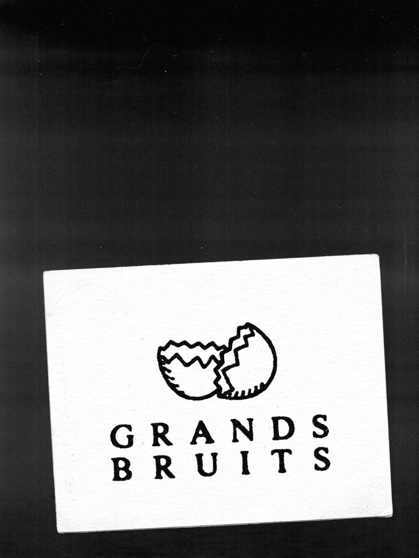 Break a leg
Break and egg
Longue vie &agrave; @grands_bruits 

Fond&eacute; en trio avec @iamclairedays et @robin_rodet , Grands bruits se veut &ecirc;tre un espace &eacute;ditorial ind&eacute;pendant destin&eacute; &agrave; la publication d&rsquo;&e