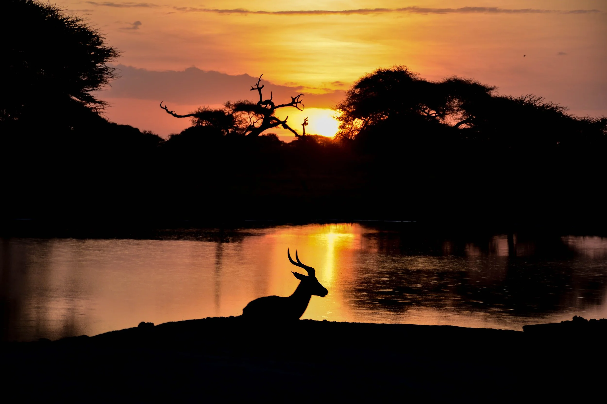 Kruger National Park