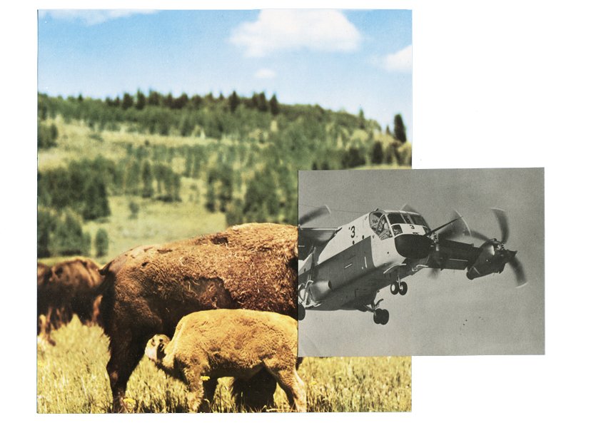 Hélico Bison - 2014