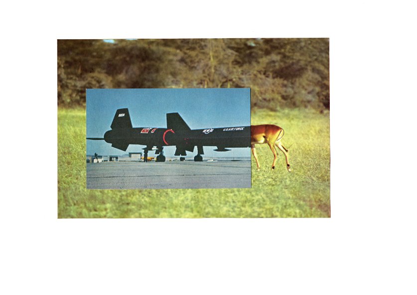 Gazelle Air Force - 2014