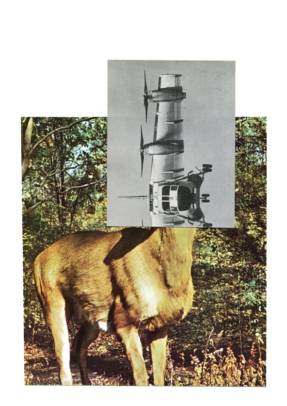 Hélico Biche - 2014