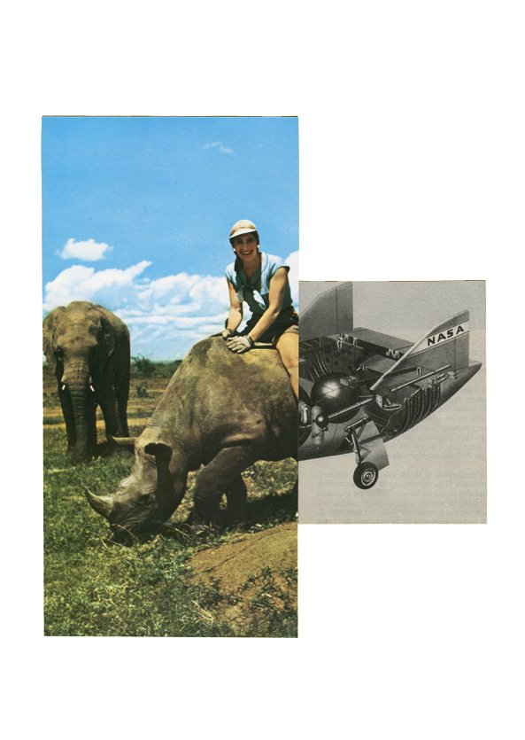 Rhino Nasa - 2014