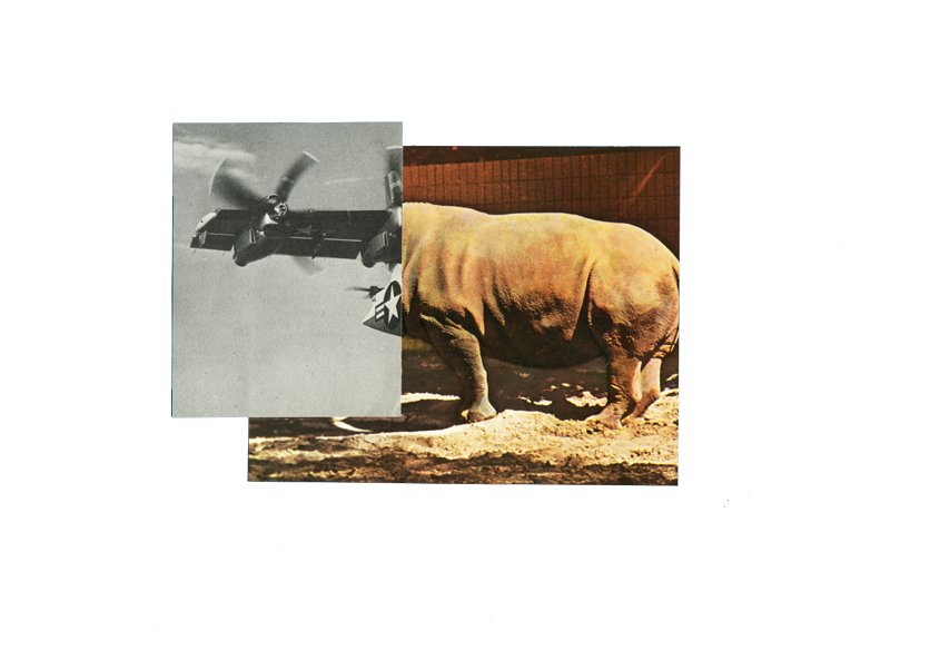 Hélico Rhino - 2014