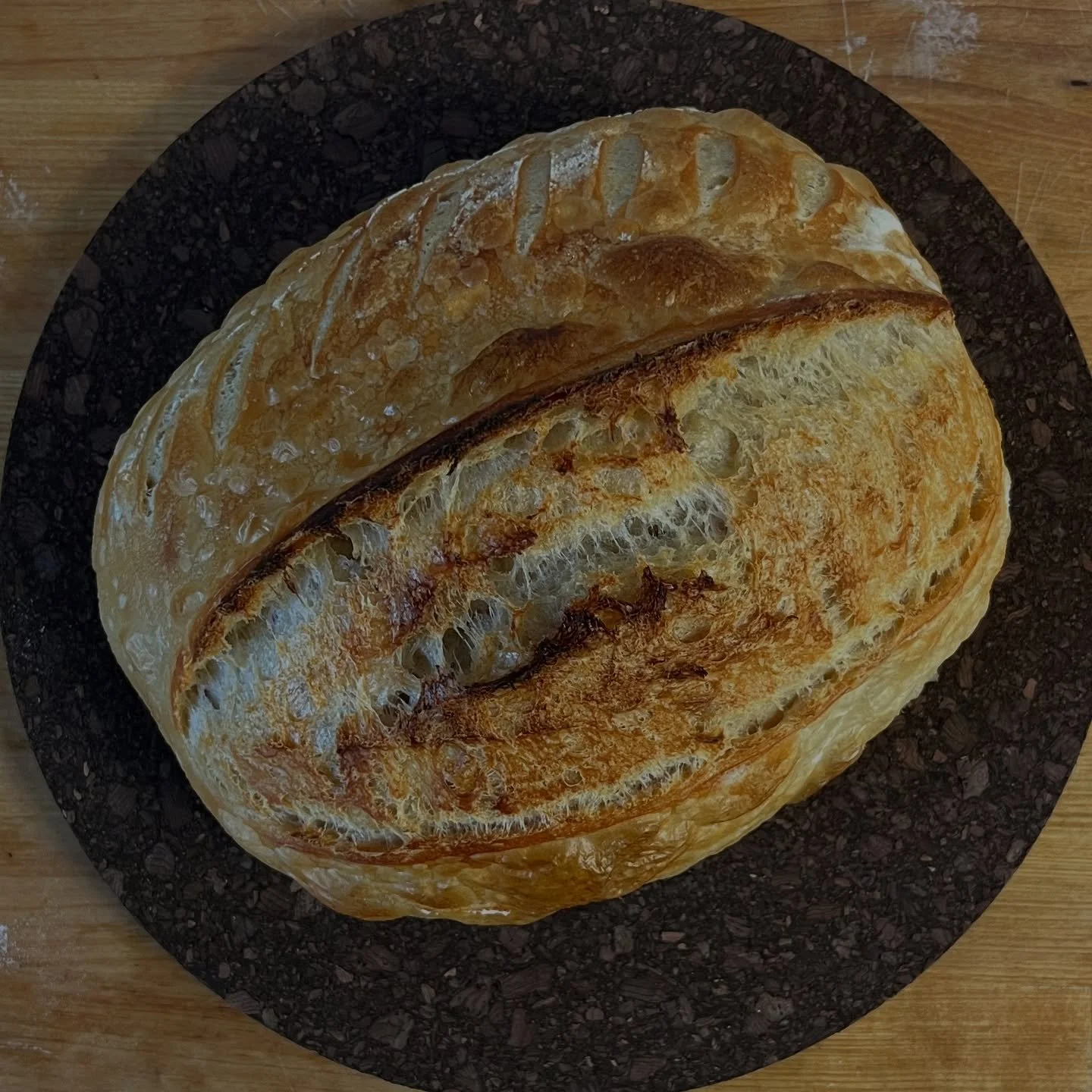 More of Darla &hellip; in various forms ✨