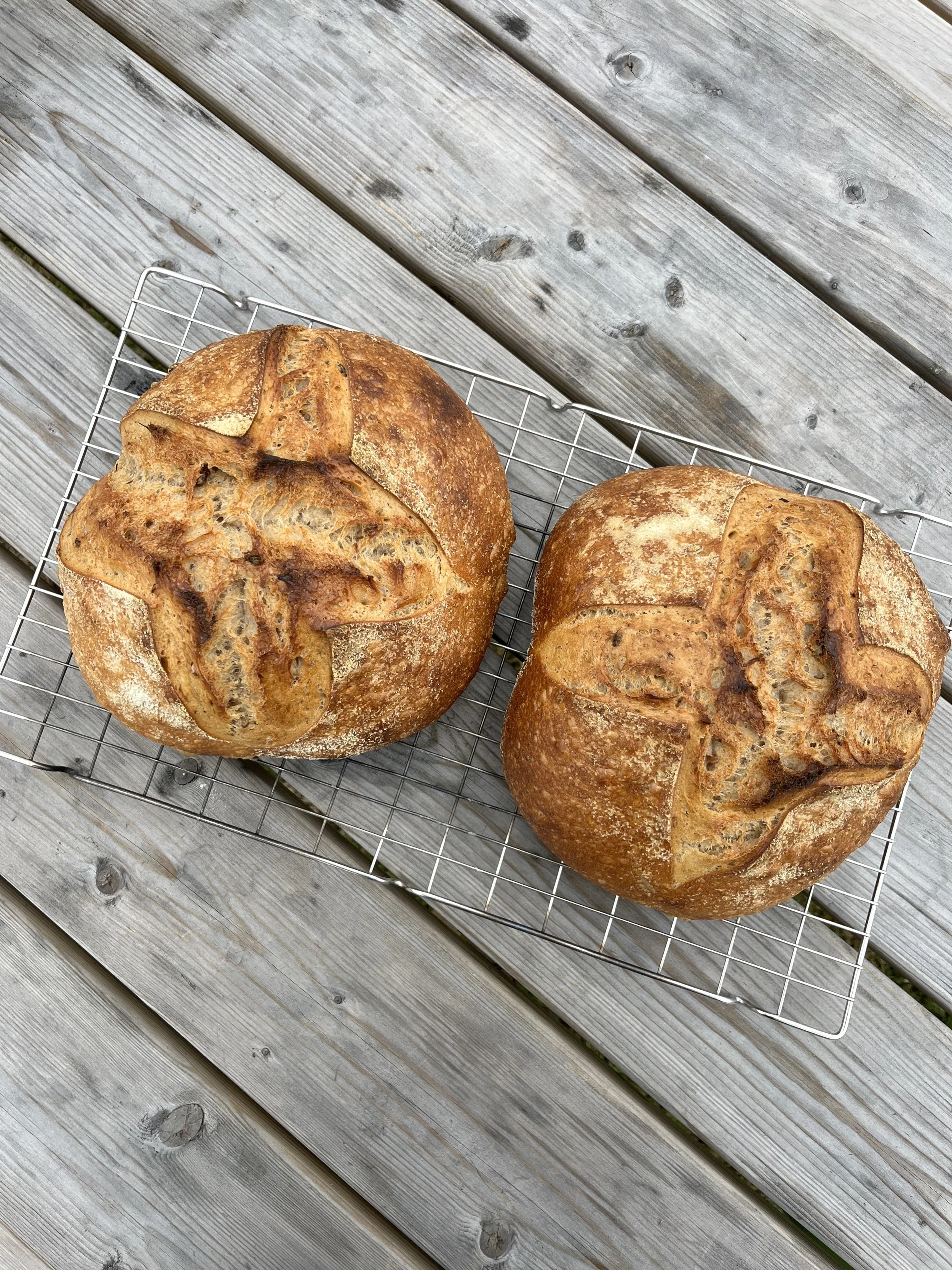 Homemade sourdough bread on a wire rack
