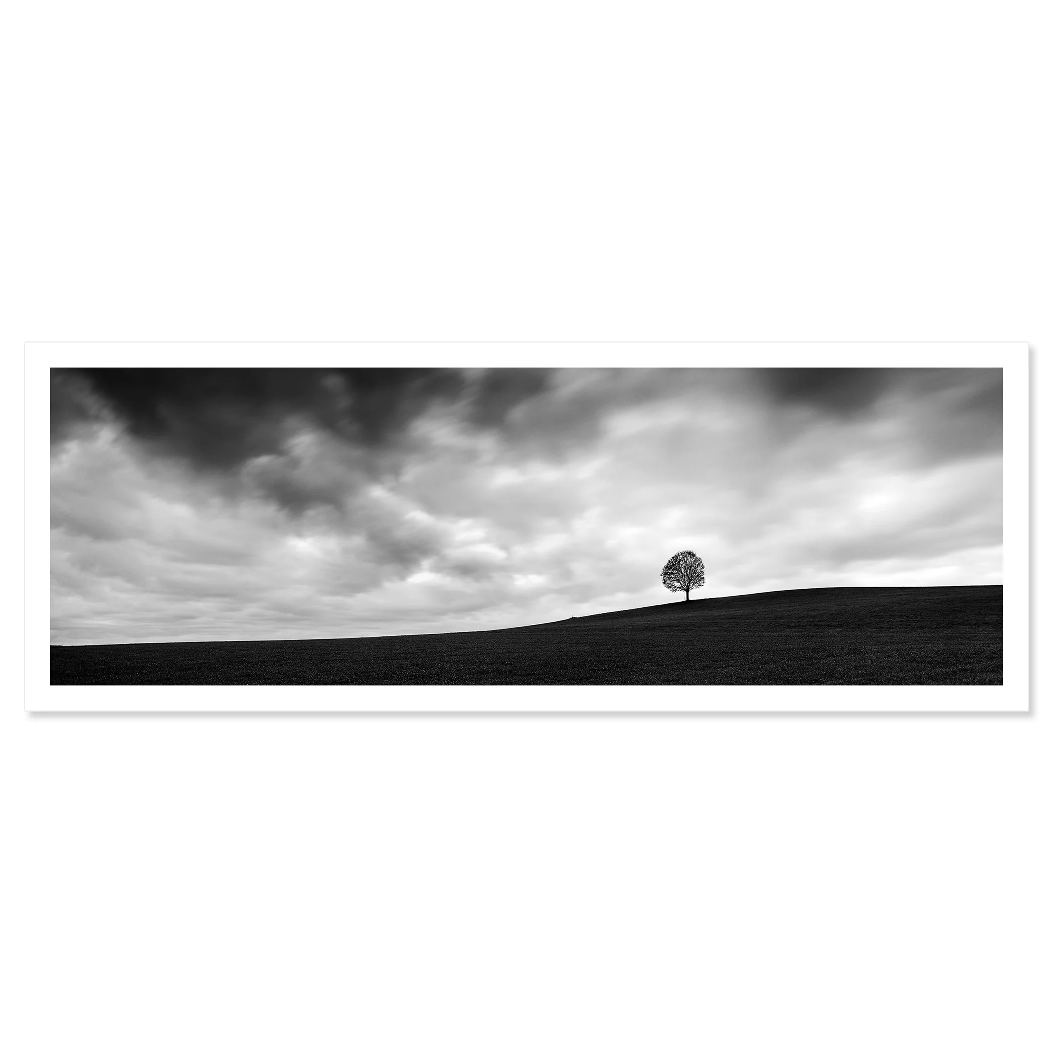 Gerald Berghammer - Black and white panorama landscape photography. A cloudy sky over a hill on a farmland with a single tree on the horizon. Fine art print only