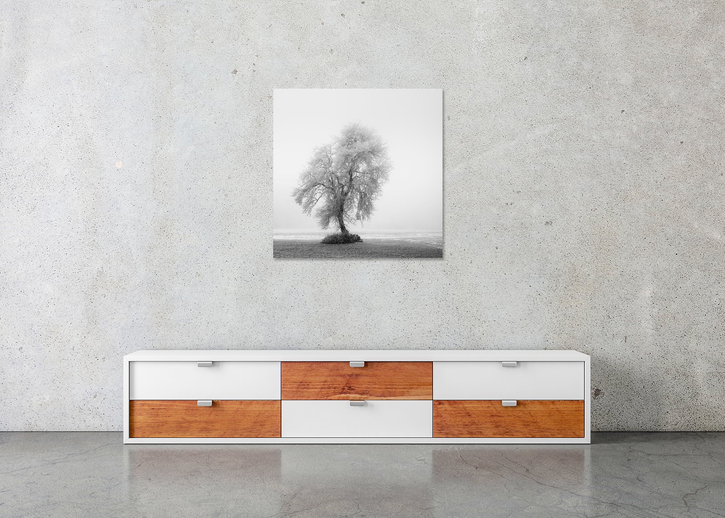 Frozen Farmland Study 2 displayed in a minimalist interior as a frameless black-and-white photograph mounted on aluminium Dibond by Gerald Berghammer.