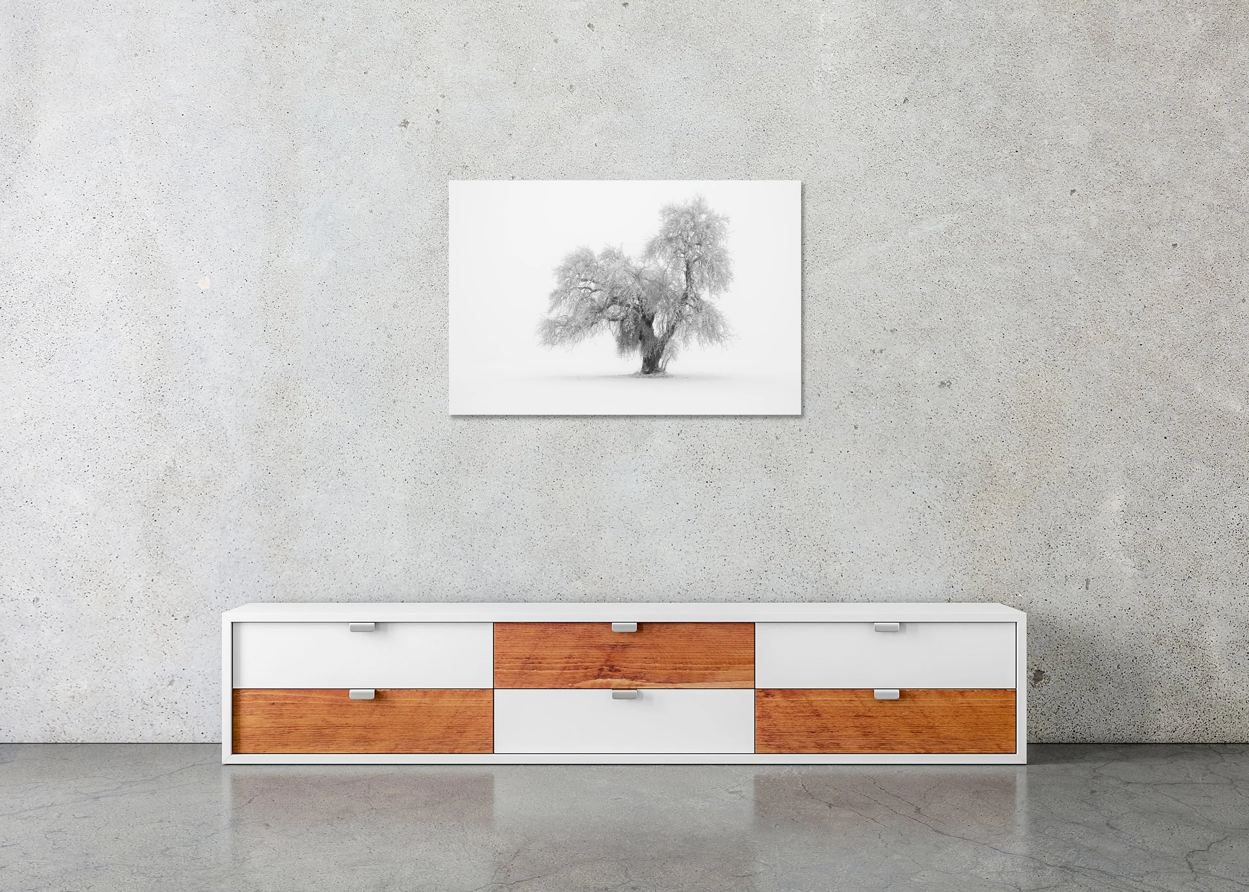 Minimalist Winter Tree Study 1 – Austria displayed as a frameless black-and-white photo print mounted on aluminium Dibond.