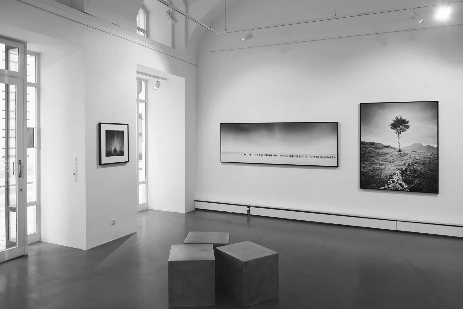 Interior of Bildraum 01 during THE SELECTION 2017–2018, displaying a panoramic black-and-white landscape and a solitary tree photograph by Gerald Berghammer.