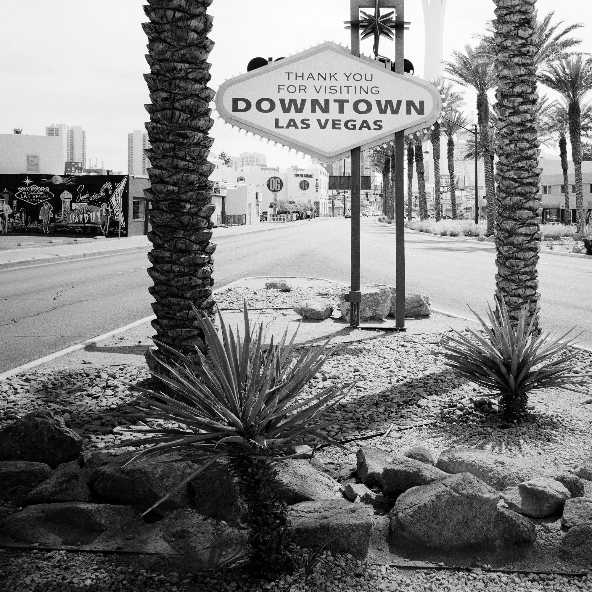 Gerald Berghammer - Black and white desert cityscape photography. Las Vegas Welcome Sign, with palm trees lining the street and the Stratosphere Tower. Print detail 1