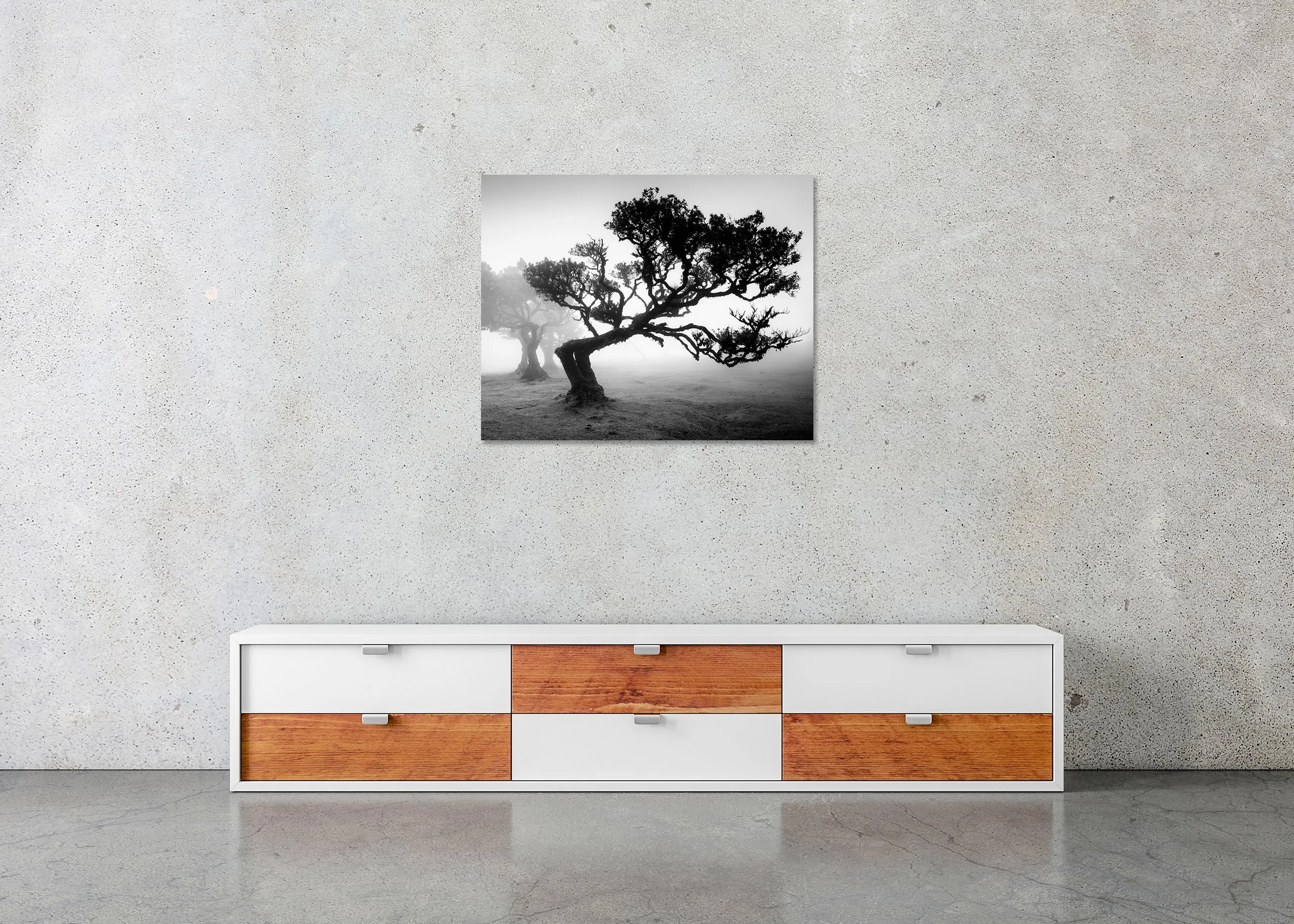 Ancient Laurisilva Forest Study 1 displayed in a modern interior as an archival pigment print in a black aluminium frame with a white mount. Photo by Gerald Berghammer.