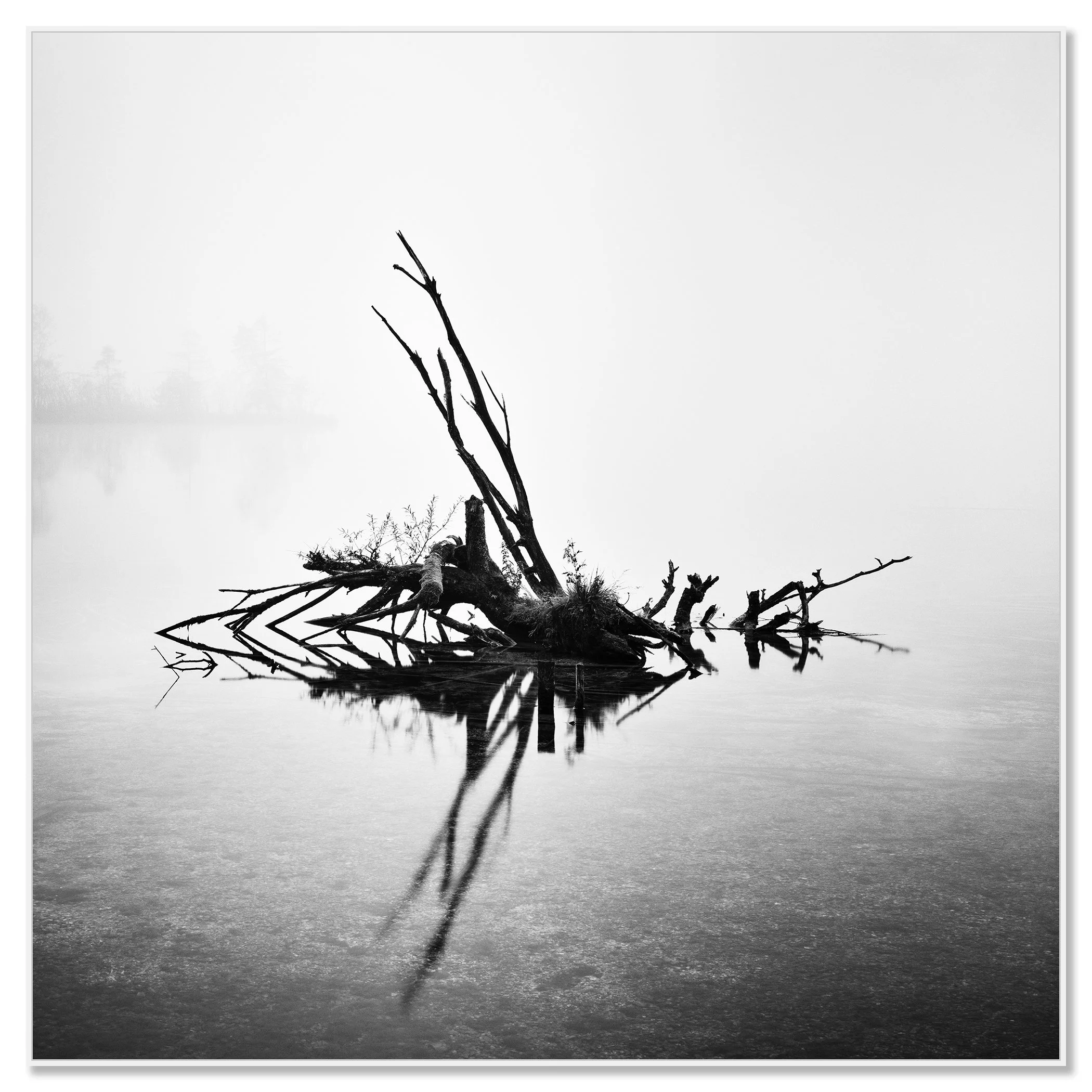 Fallen Tree Study 1 by Gerald Berghammer, black-and-white Almsee waterscape presented in a white aluminium ArtBox frame.