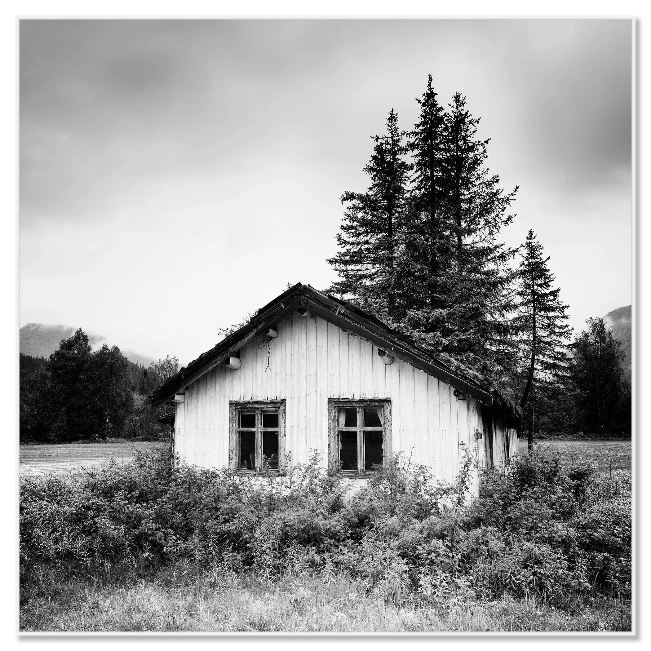Trees on the Roof Study 1 – Norway presented in a white aluminium ArtBox frame.