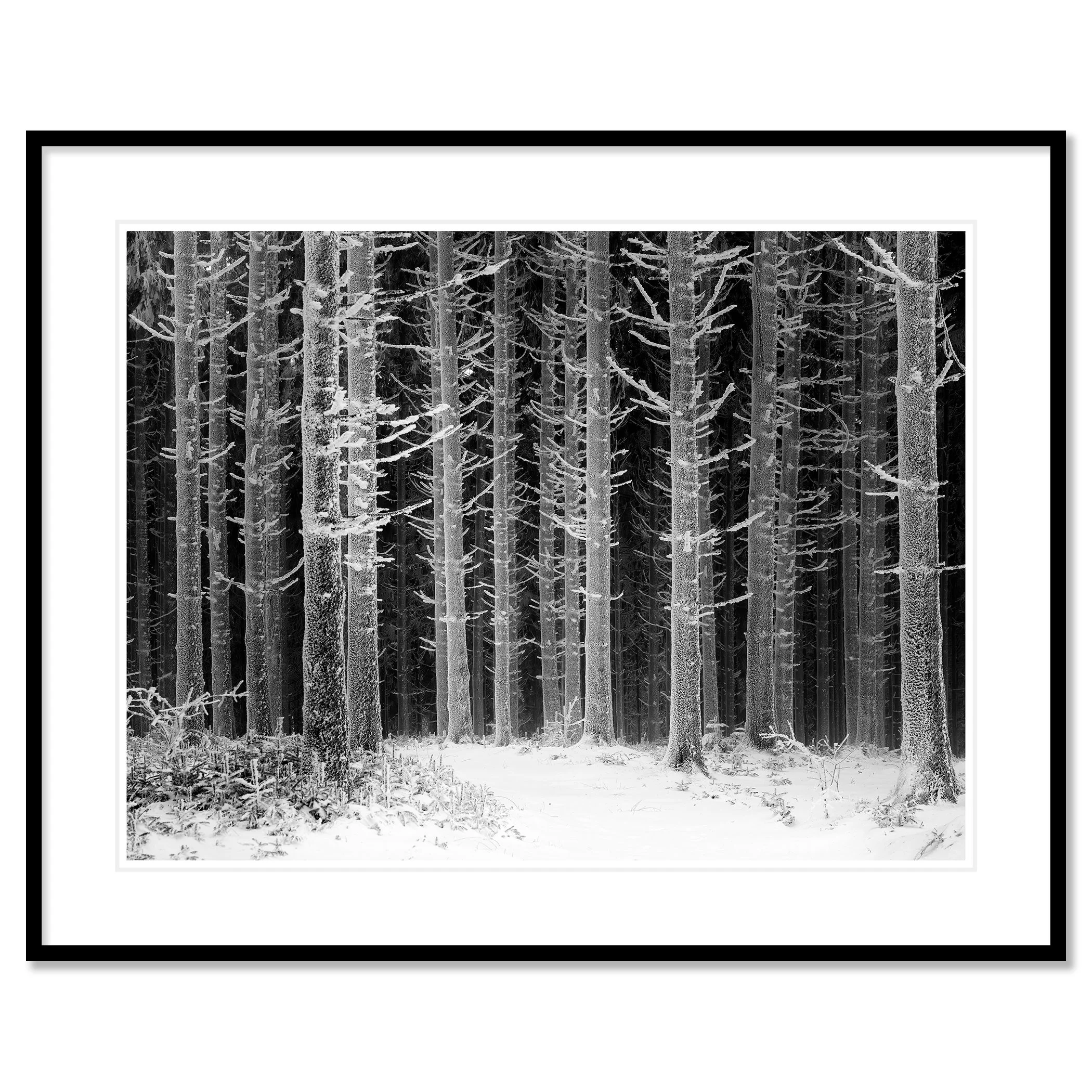 Path Through the Frosted Forest – Austria, archival pigment print in a black aluminium frame with white mount.