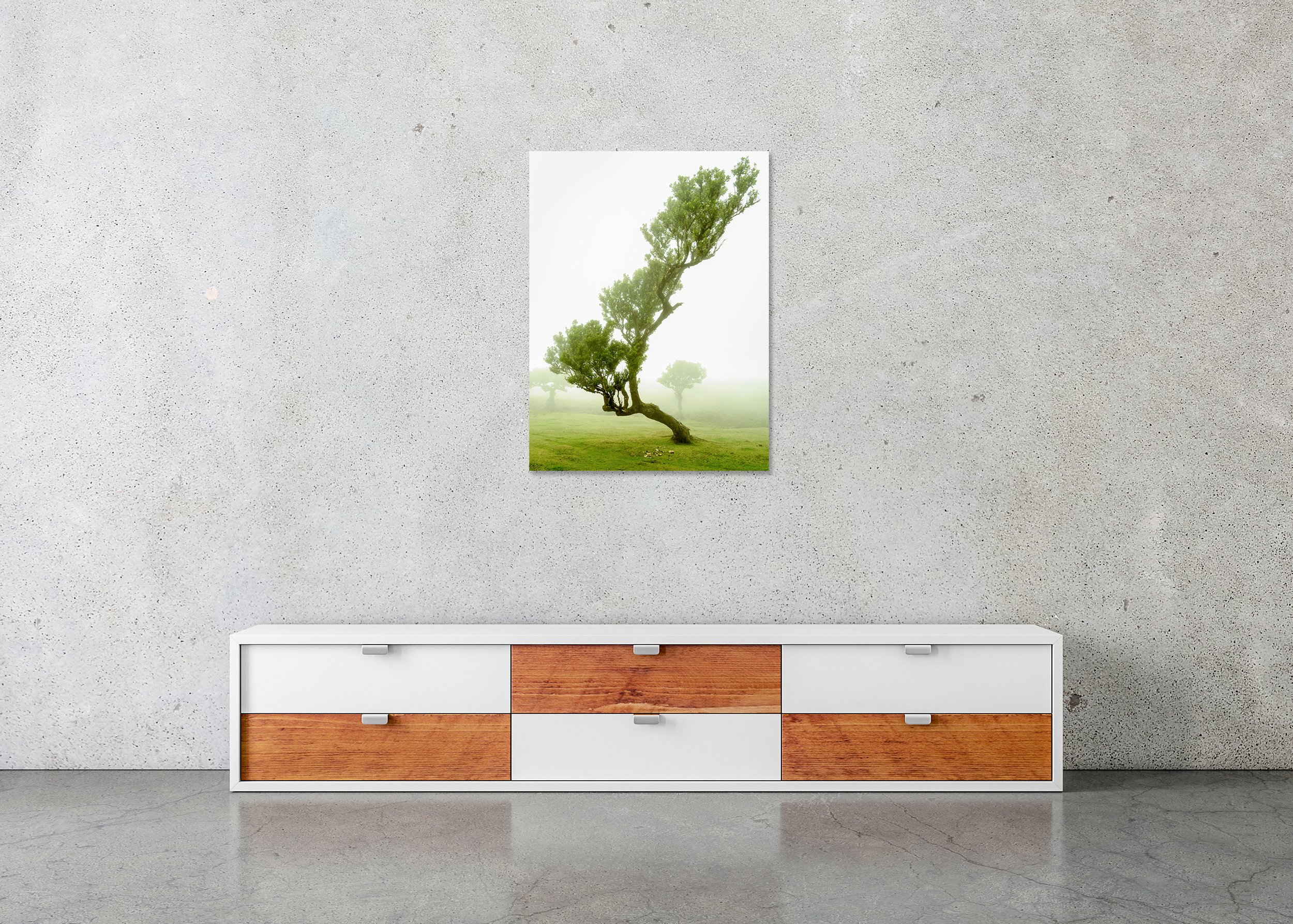 Wind-shaped tree growing diagonally in a foggy meadow, with soft green grass and mist creating a calm, minimalist natural landscape. ChromaLuxe Metal Print – Frameless