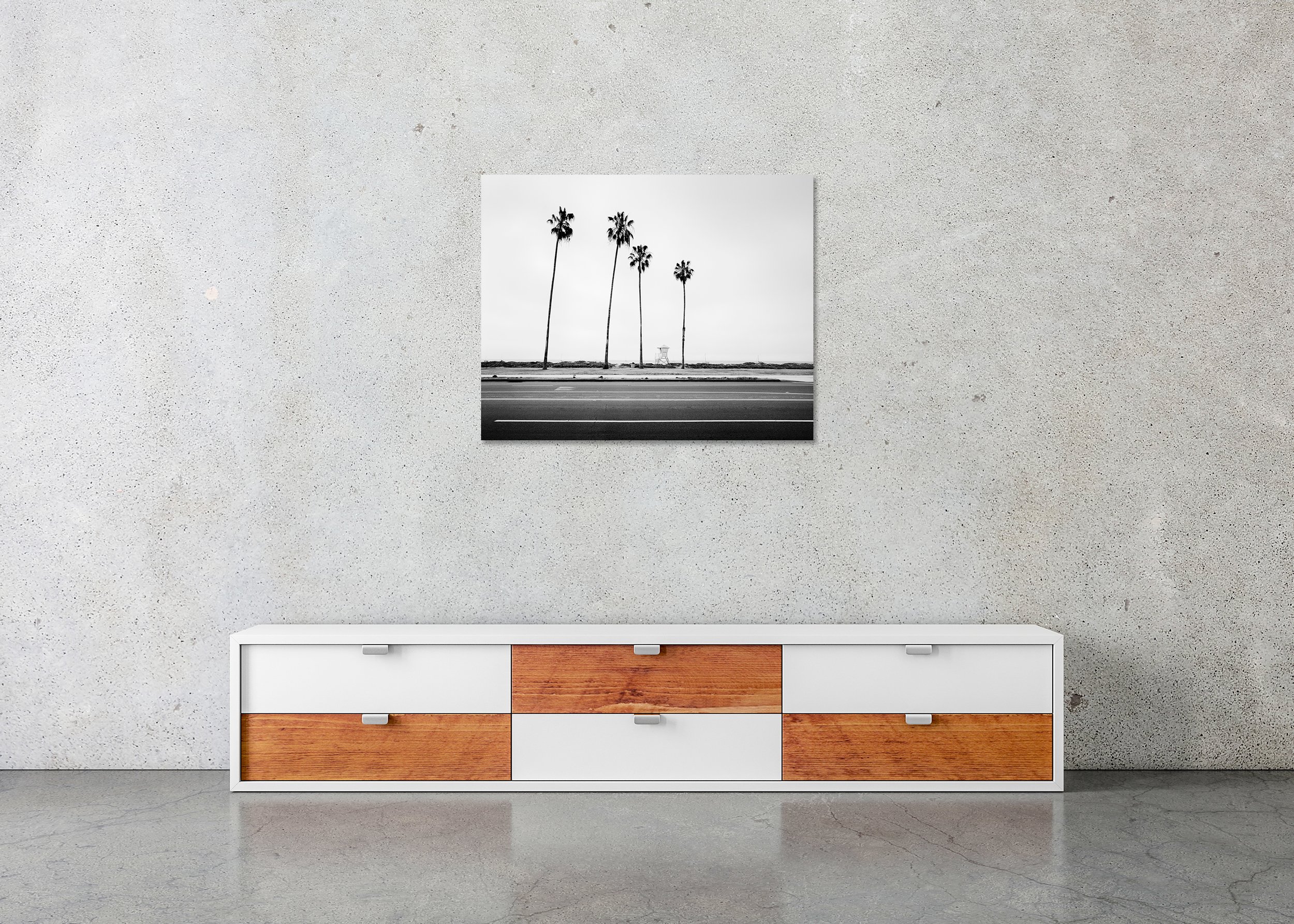 Palm Tree Study 4 displayed in a modern interior as a frameless black-and-white aluminium Dibond print by Gerald Berghammer.