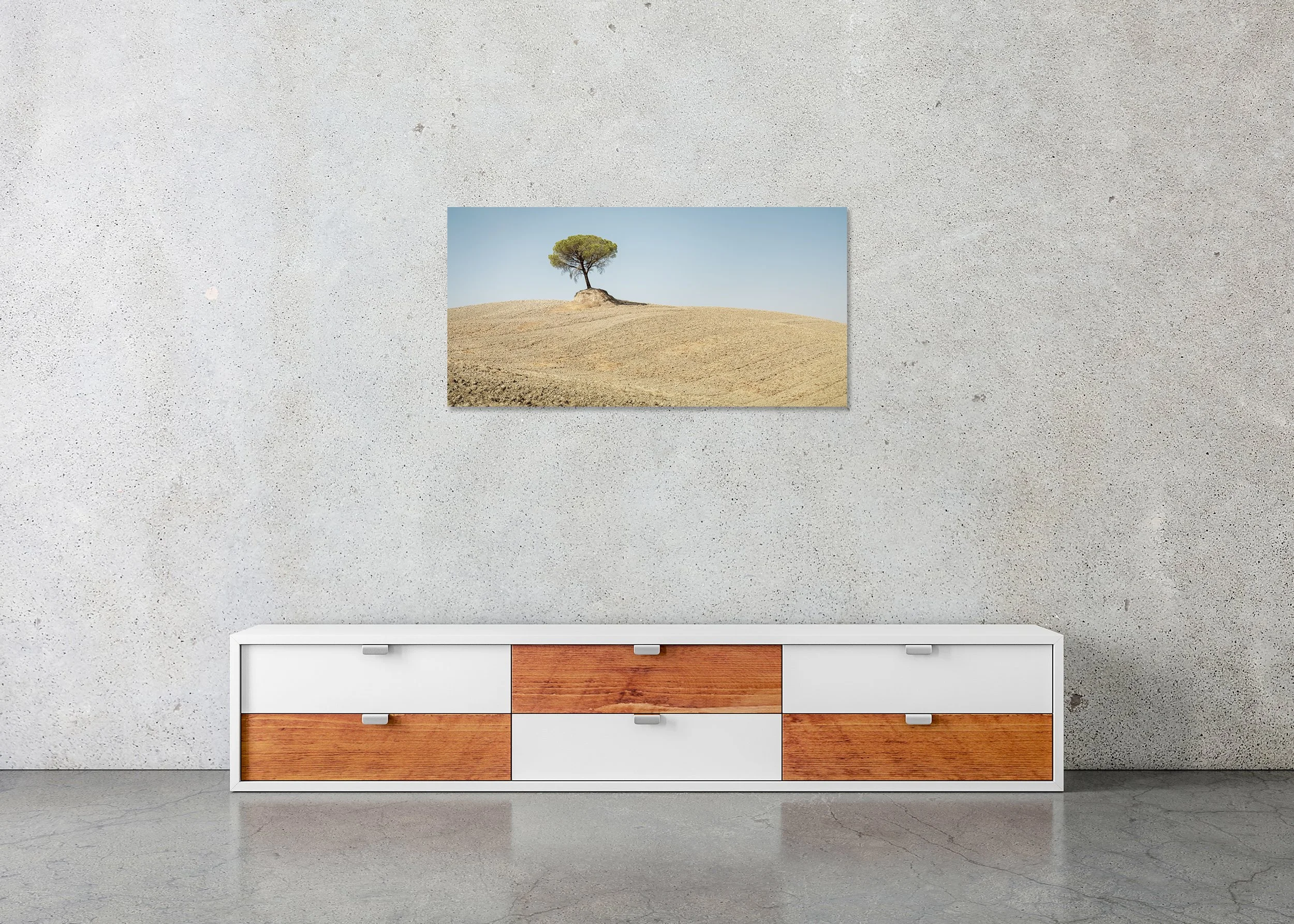 Gerald Berghammer - Italian Stone Pines | landscape, indian summer | Tuscany, Italy, ChromaLuxe print on aluminium, frameless