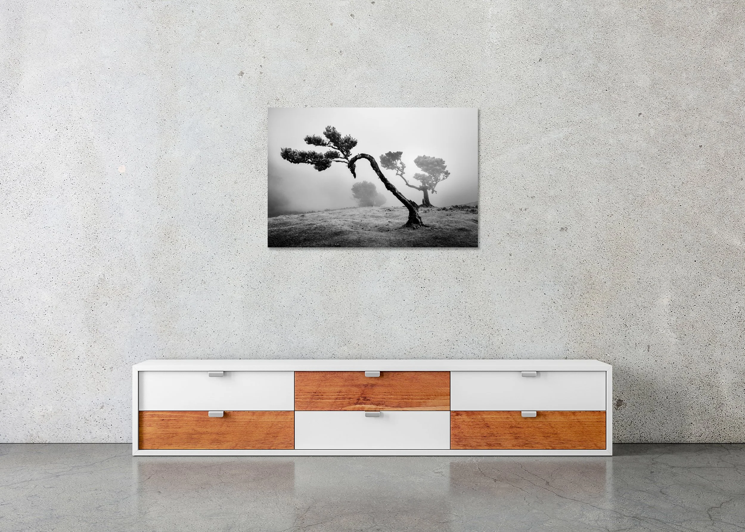 Ancient Laurisilva Forest Study 2 displayed in a modern interior as a frameless black-and-white artwork mounted on aluminium Dibond. Photo by Gerald Berghammer.