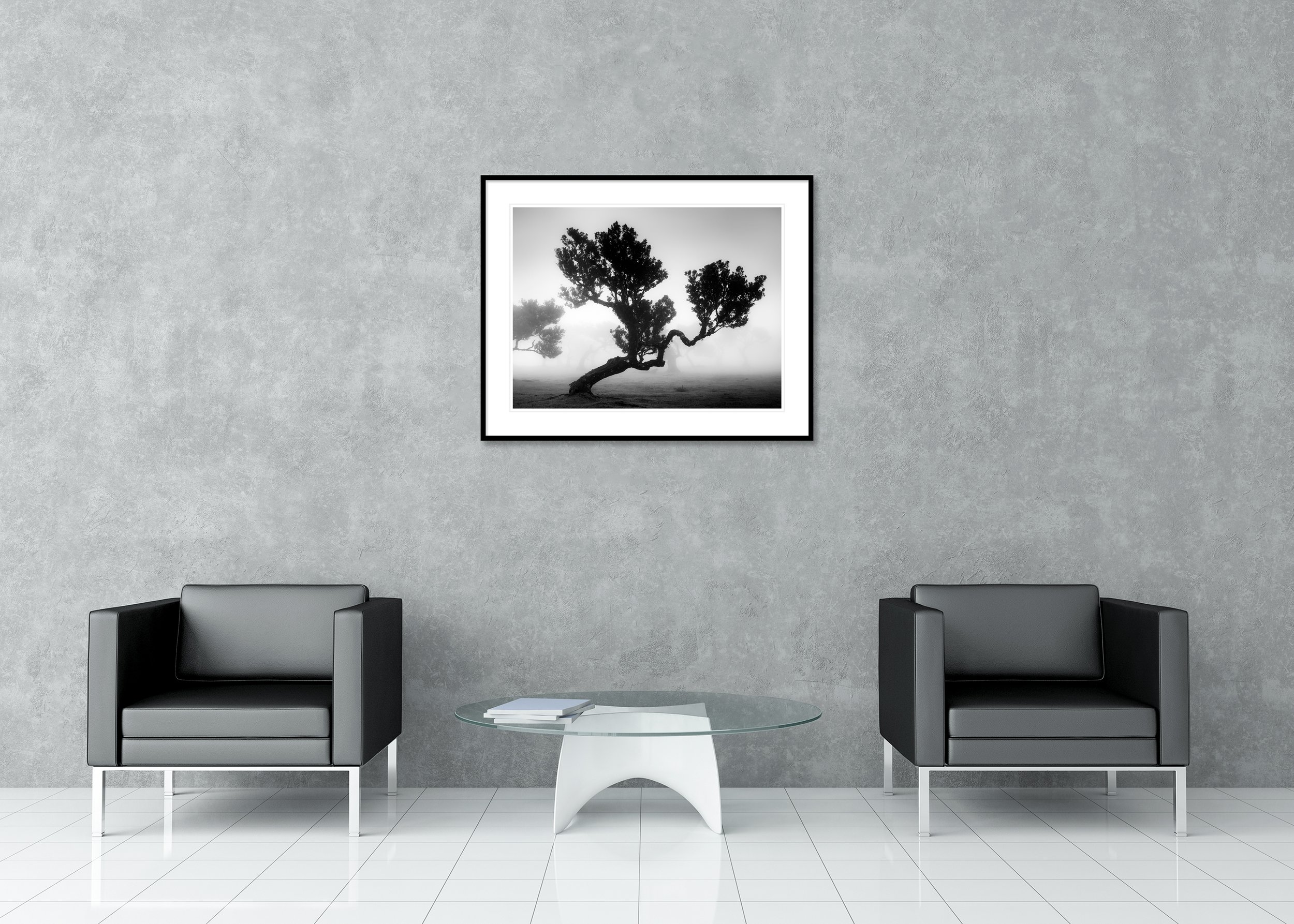 Ancient Laurisilva Forest, Study 3, archival pigment print in a black aluminium frame with a white mount, displayed in a contemporary lounge.