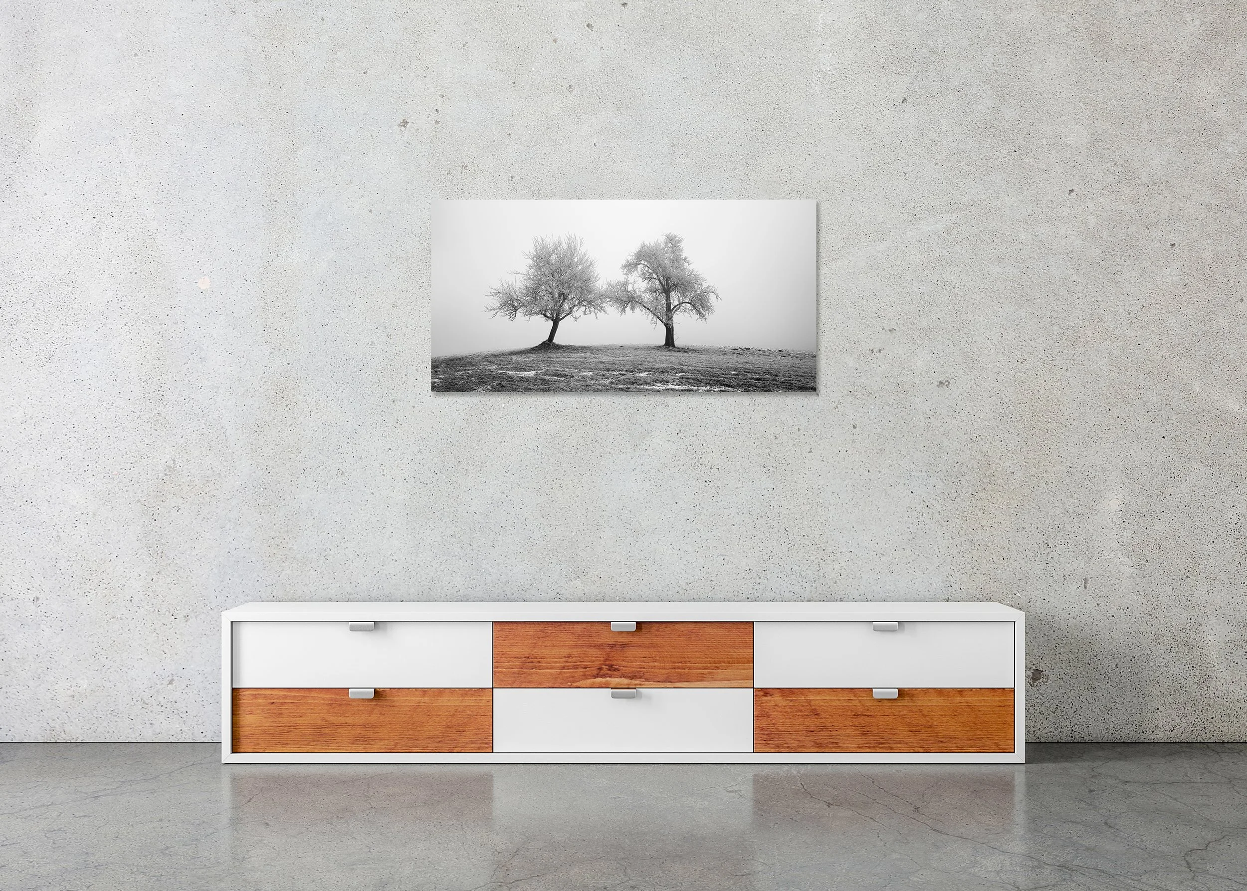 Frozen trees in a quiet winter field with misty sky, monochrome landscape photo print mounted to Dibond, frameless