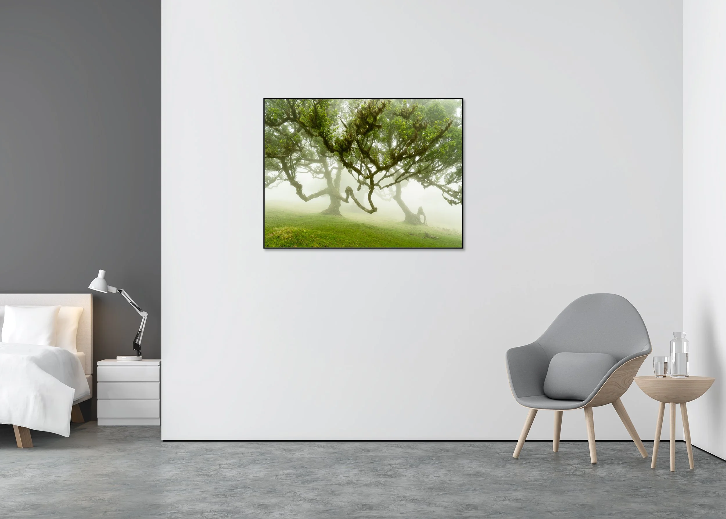 Ancient moss-covered trees with twisted branches in a misty green forest, serene mystical woodland landscape on Dibond in aluminium ArtBox