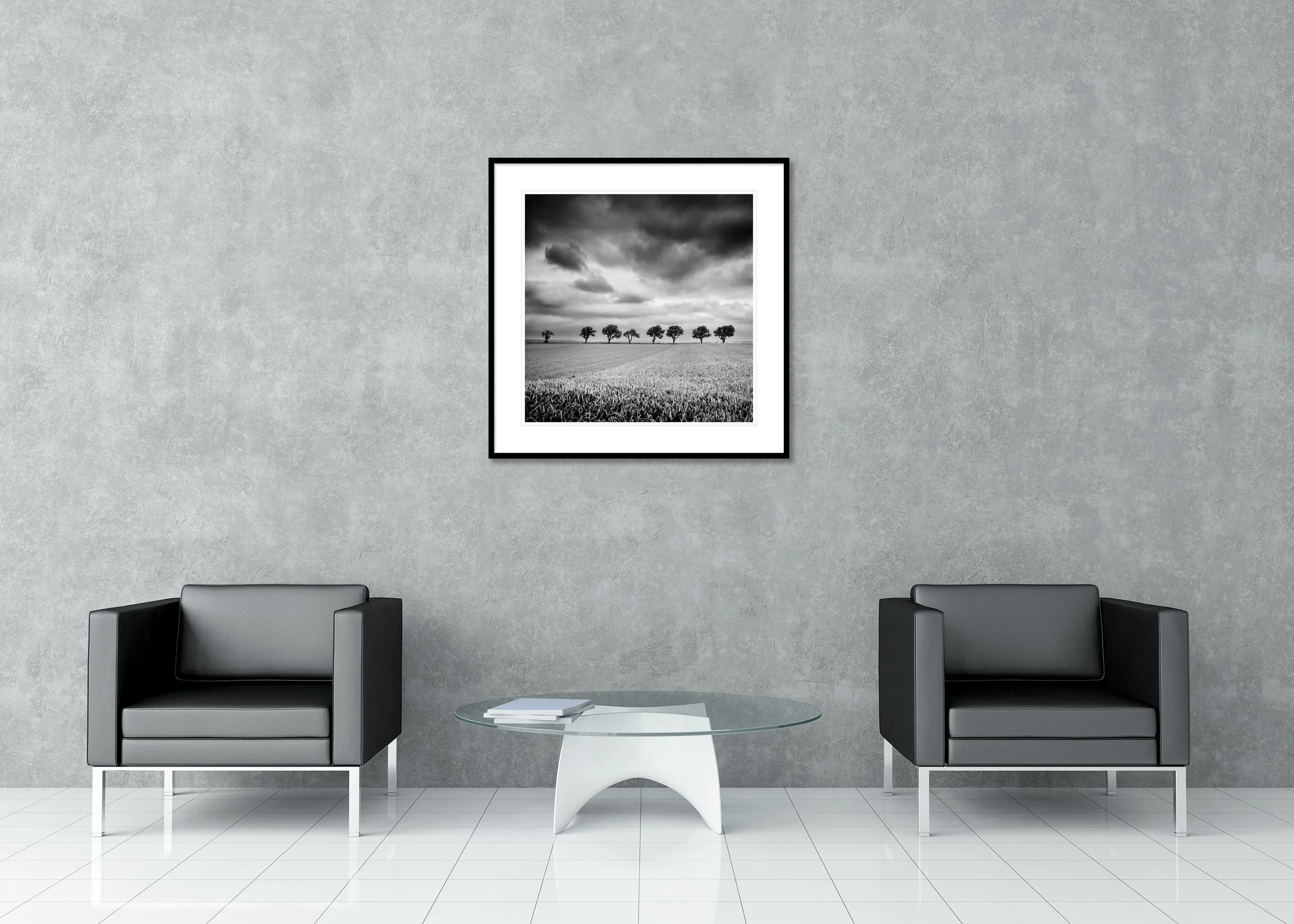 Gerald Berghammer - Row of Eleven Cherry Trees, stormy clouds, landscape, Austria, Archival pigment print, aluminium frame, passe-partout, anti reflex glass