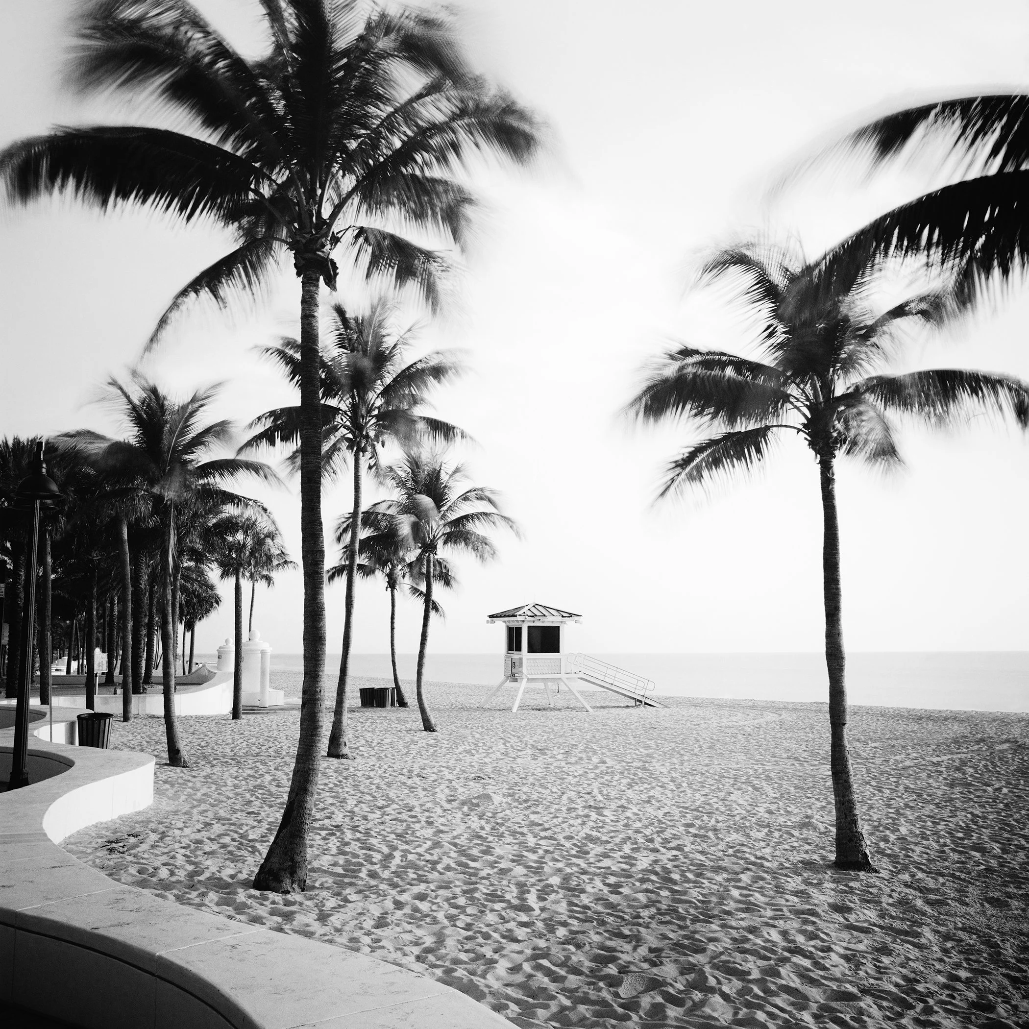 Black-and-white photo of palm trees on a sandy Florida beach with a lifeguard tower and calm ocean horizon.