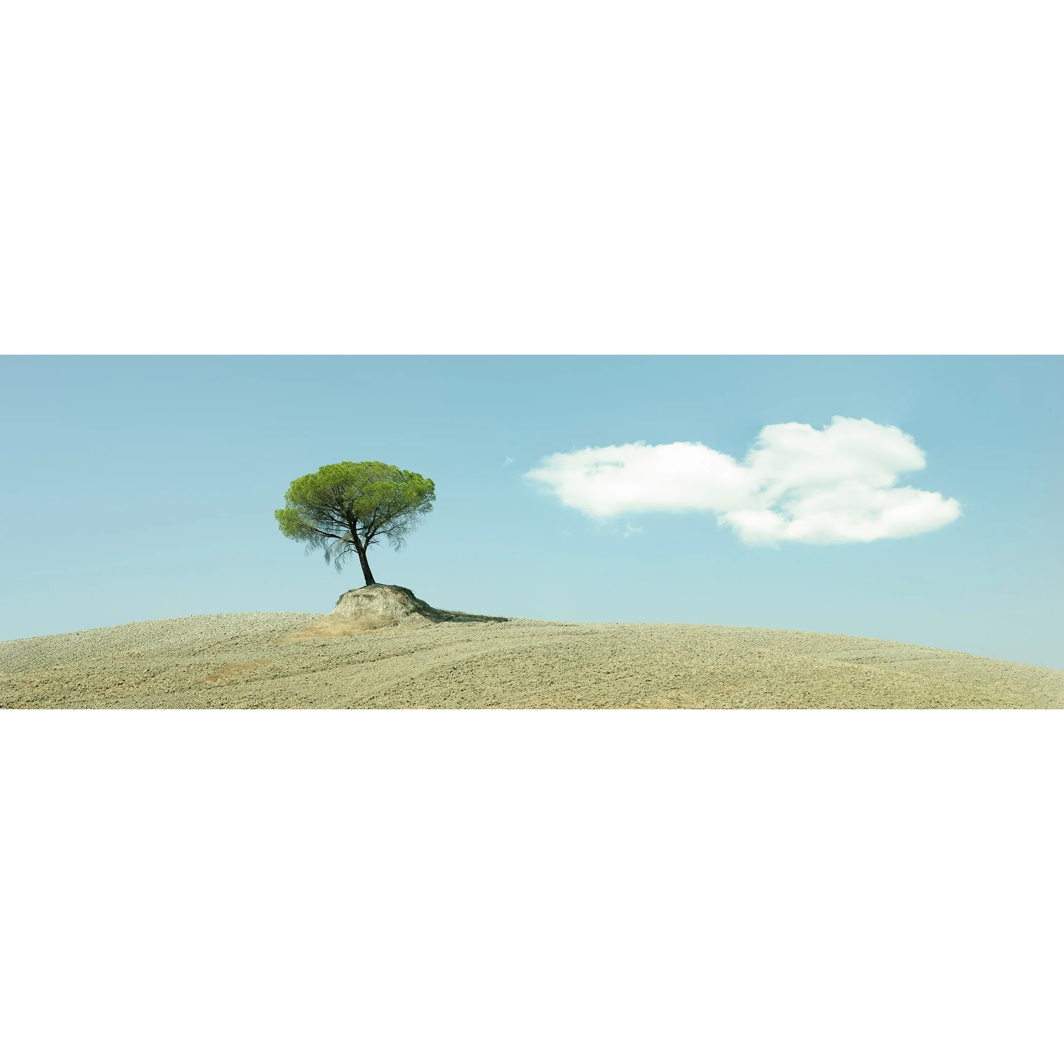 © 2021 Gerald Berghammer - Color minimalist Tuscany photo. Single tree growing on a small mound in a barren landscape under a blue sky with a few white clouds.