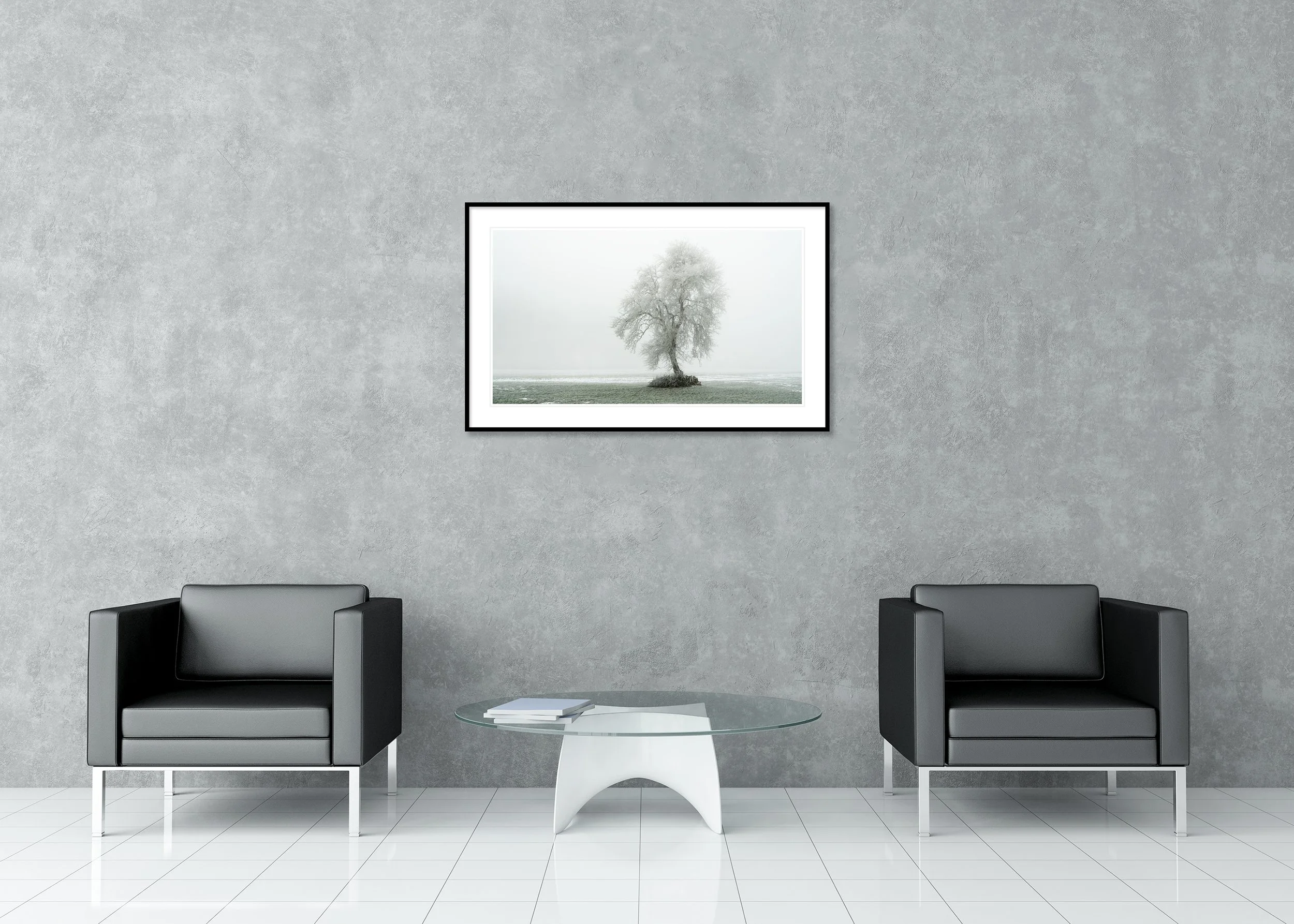 Tree with Hoar Frost Panorama Study 1 displayed in a modern interior as an archival pigment print in an aluminium frame with white mount by Gerald Berghammer.