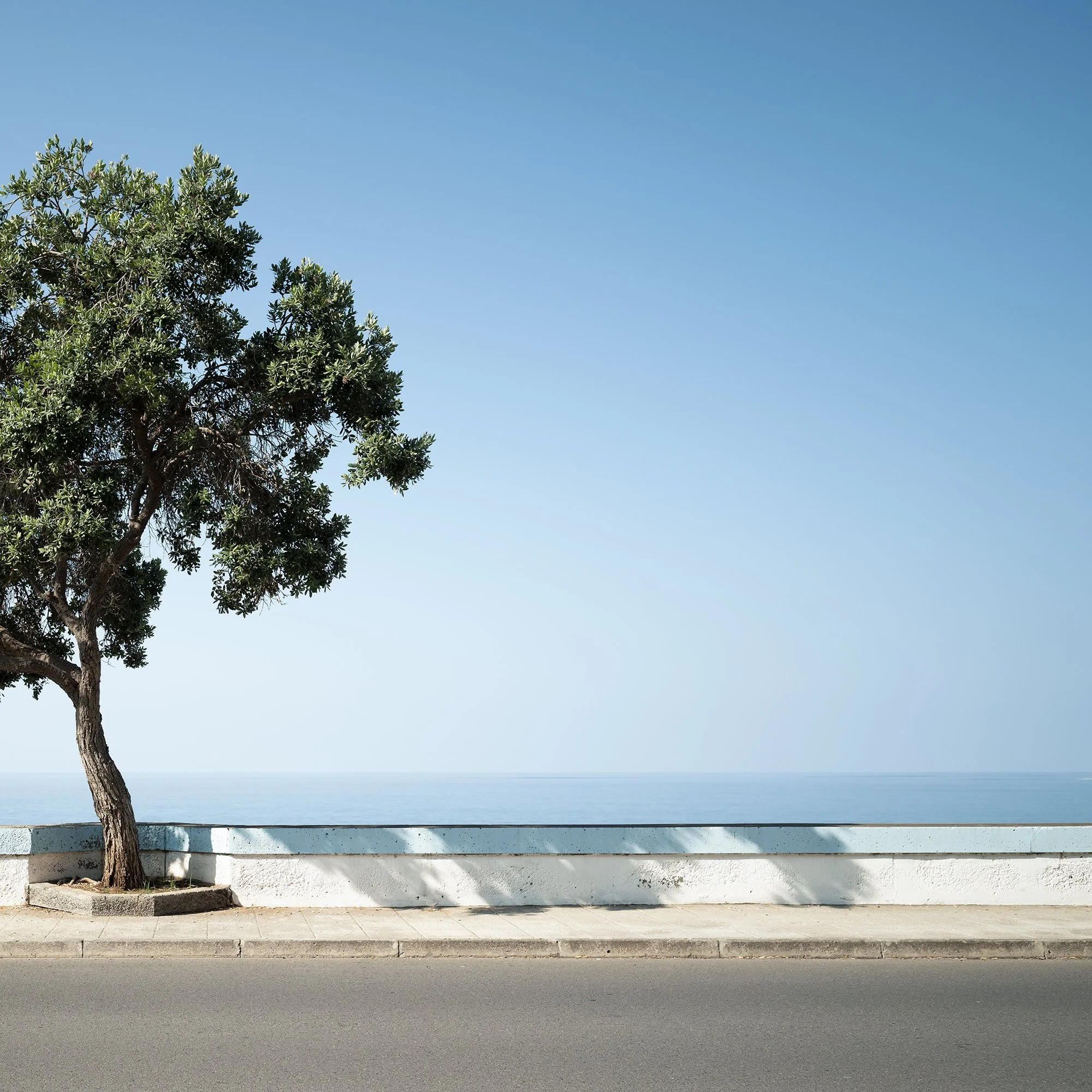 Gerald Berghammer - Color Landscape Photography. A lone tree with green leaves growing beside a paved road, with the ocean and a clear blue sky. Print detail 2