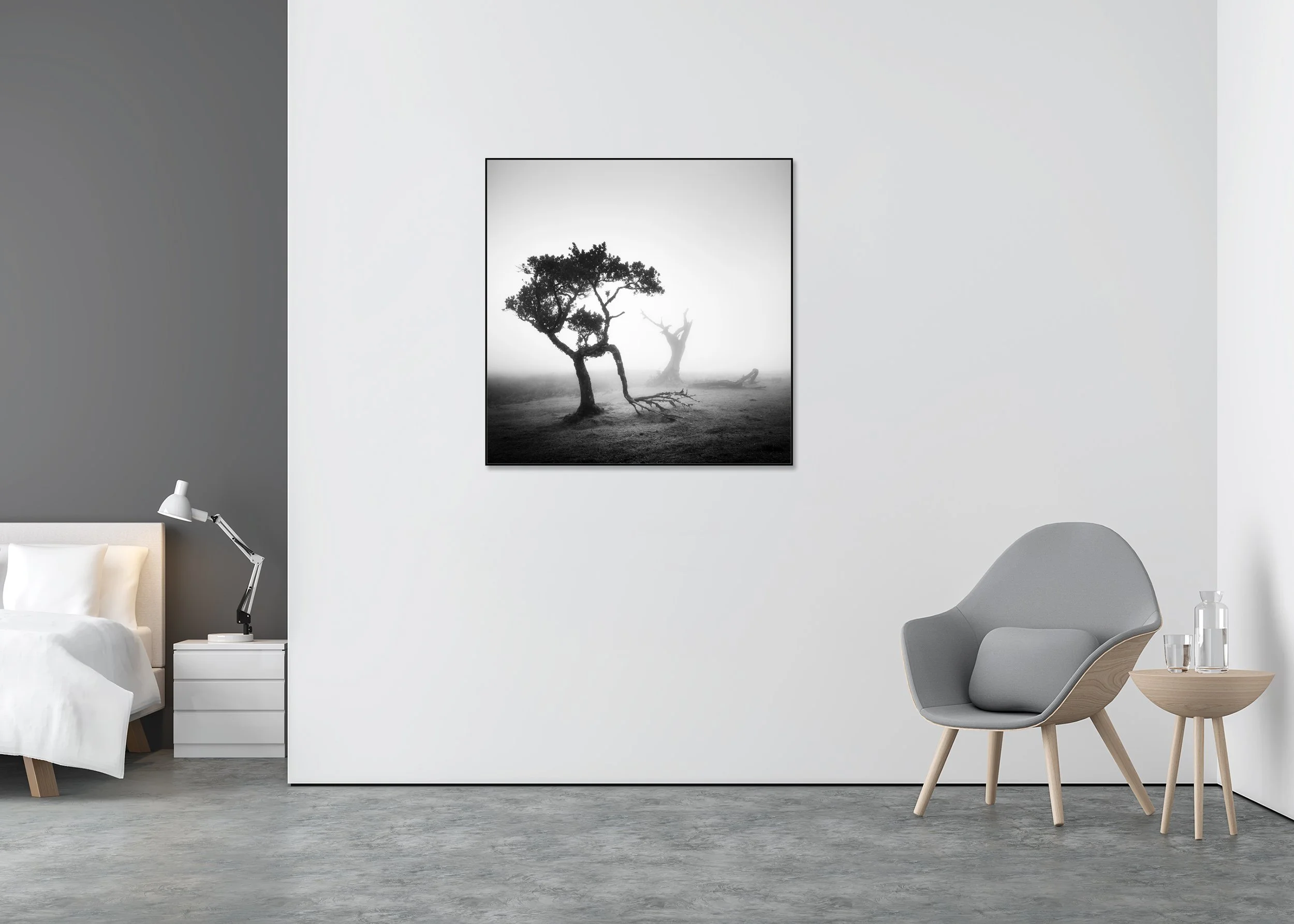 Atmospheric monochrome Madeira landscape with two leafless trees in dense mist, photo print mounted to Dibond in an aluminium ArtBox
