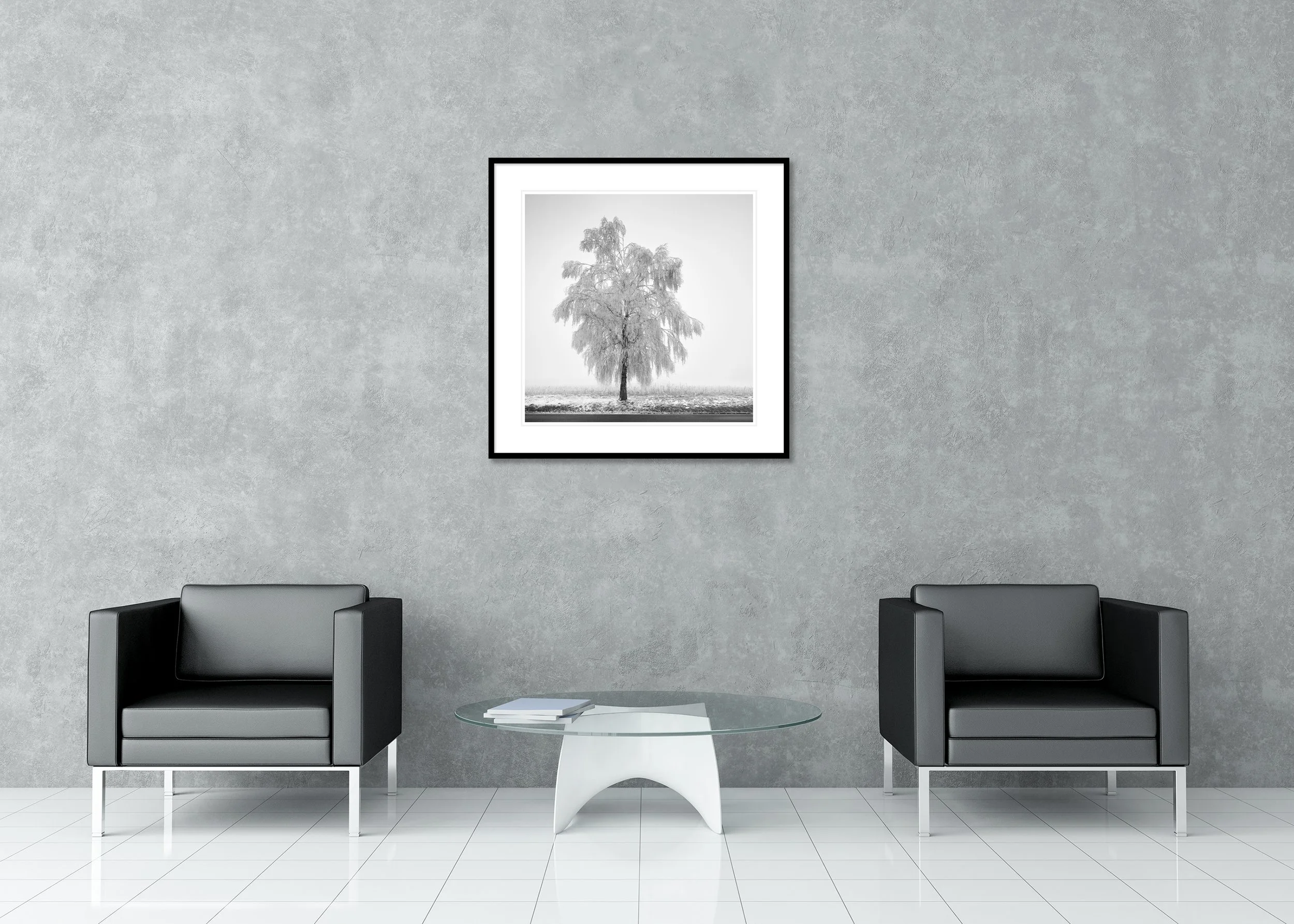 Frozen Birch Tree Study 1 displayed in a modern interior as an archival pigment print in a black aluminium frame with a white mount by Gerald Berghammer.