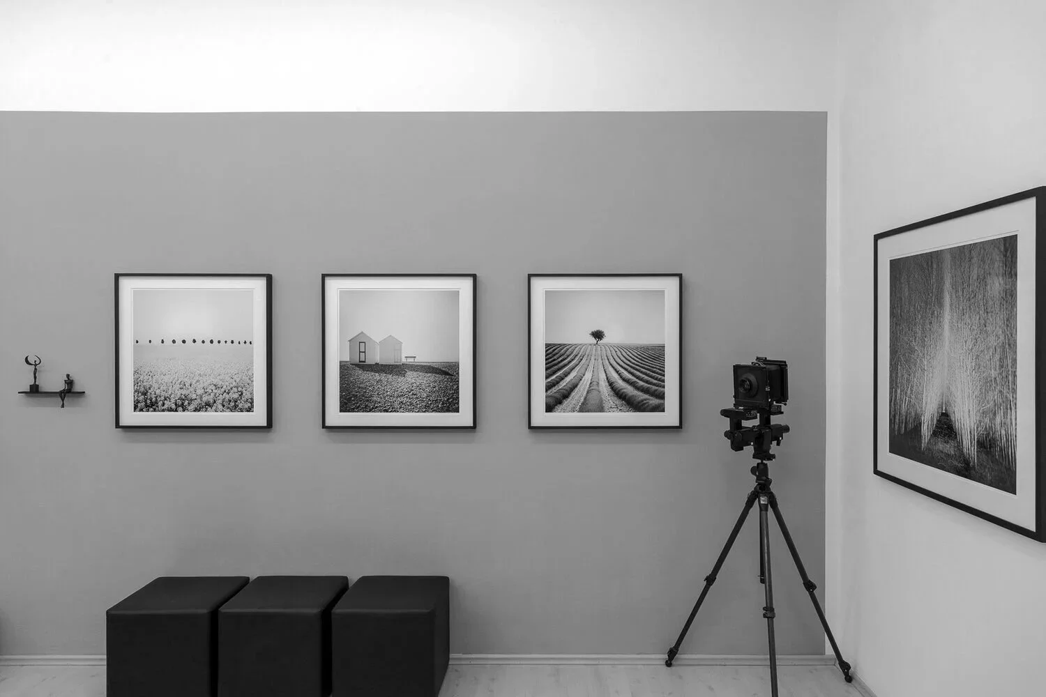 Three framed black-and-white landscape photographs by Gerald Berghammer displayed beside a vintage large-format camera.
