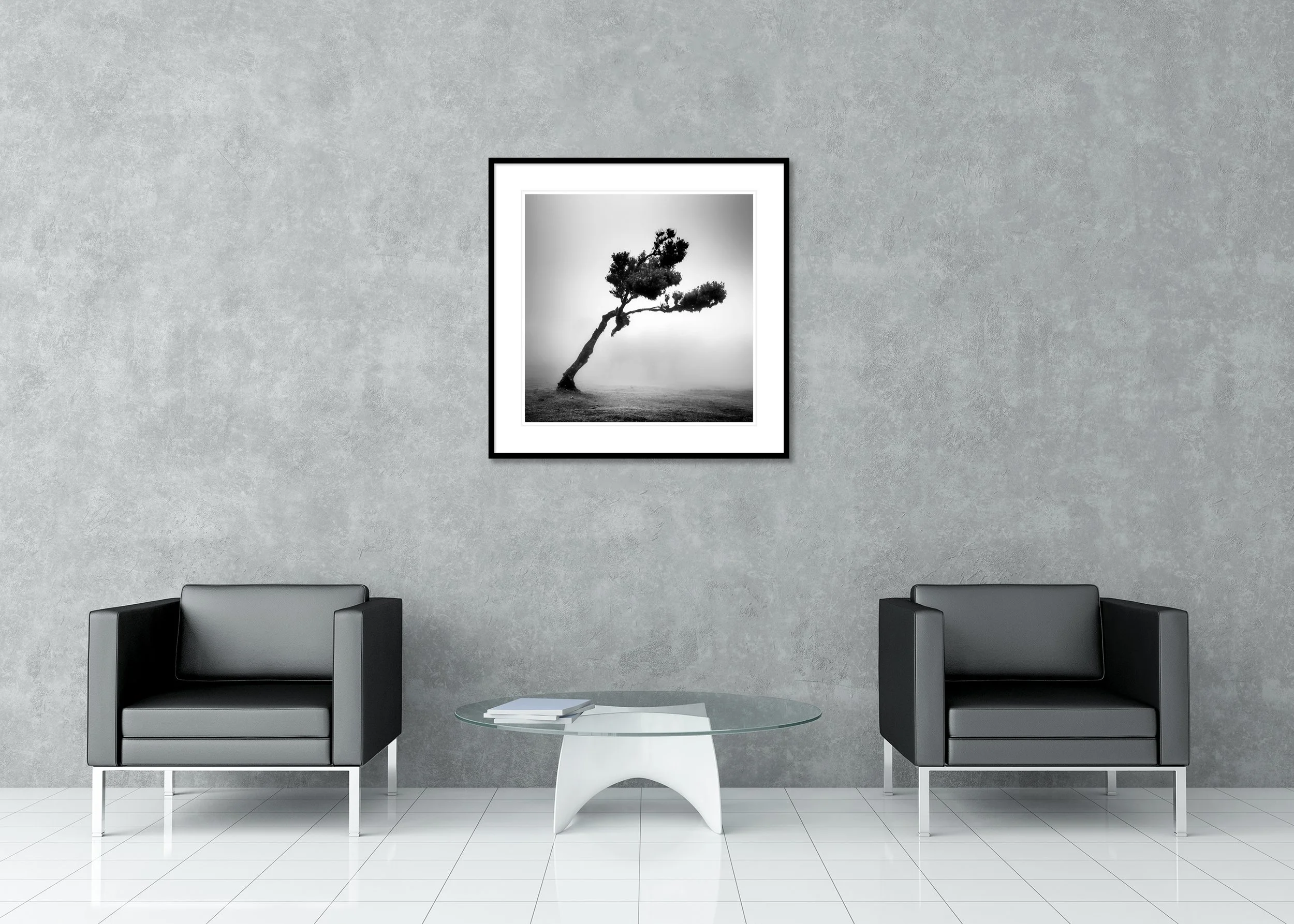 Minimal monochrome print of a bent tree emerging from thick mist in an open field, archival pigment print in a classic frame with a mount.