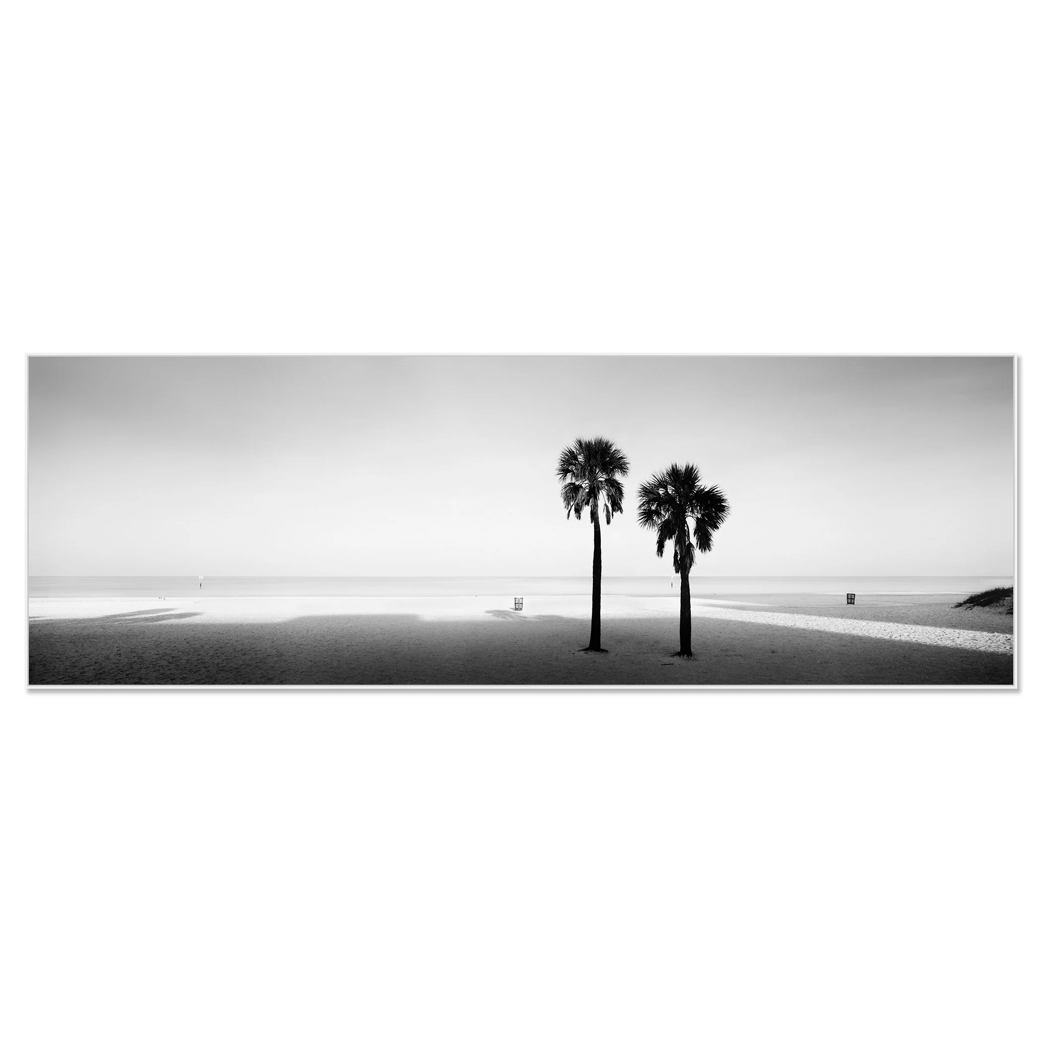 Two Palms Study 1 by Gerald Berghammer, black-and-white Dibond print in a white aluminium ArtBox frame.