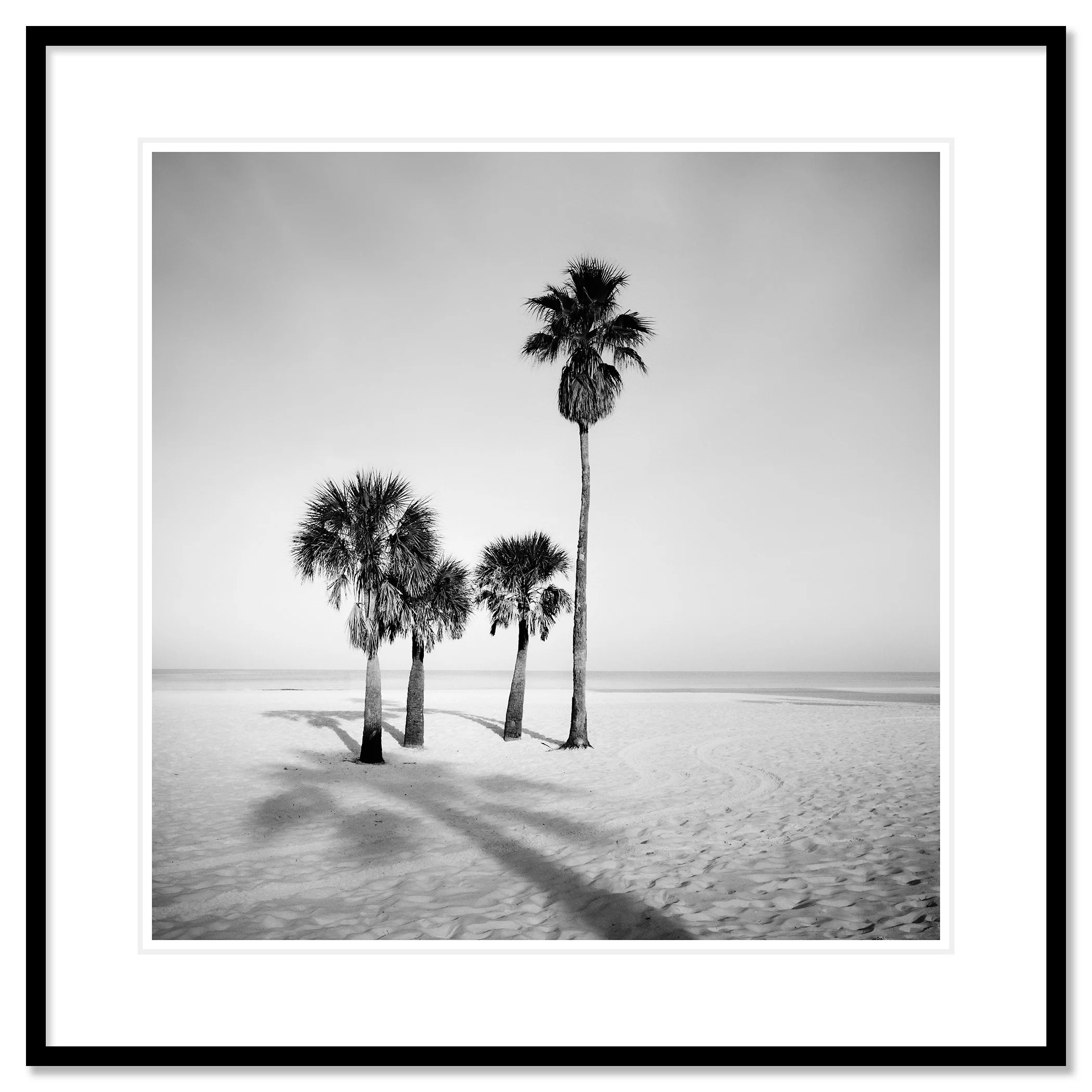 Palm Beach Study 6 displayed in a black aluminium frame with a white mount by Gerald Berghammer.