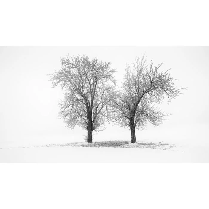 Still Winter Morning Study 1 – Austria | Gerald Berghammer