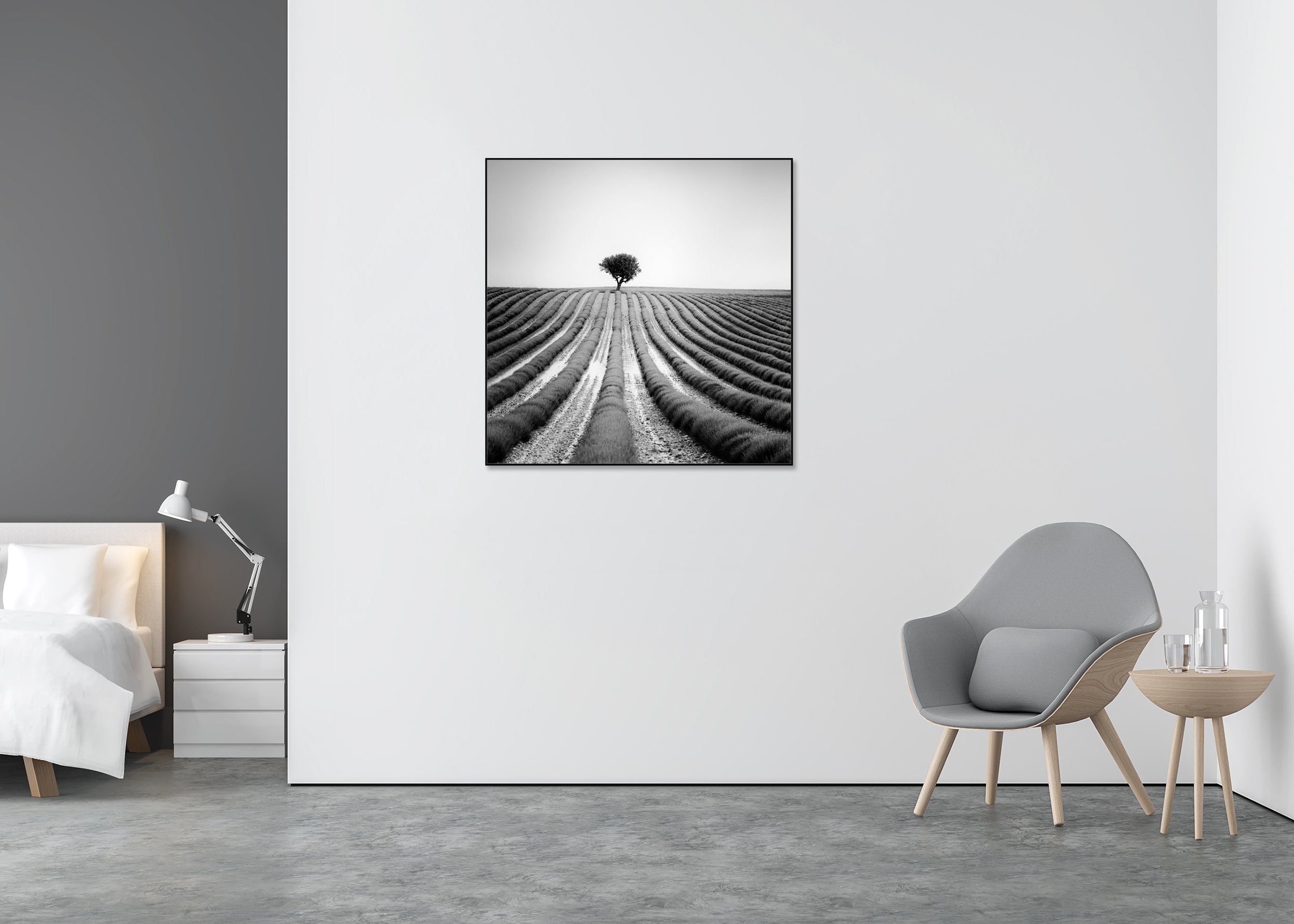 Lonely Tree in Lavender – France, black-and-white Dibond print in a black aluminium ArtBox displayed in a minimalist bedroom.